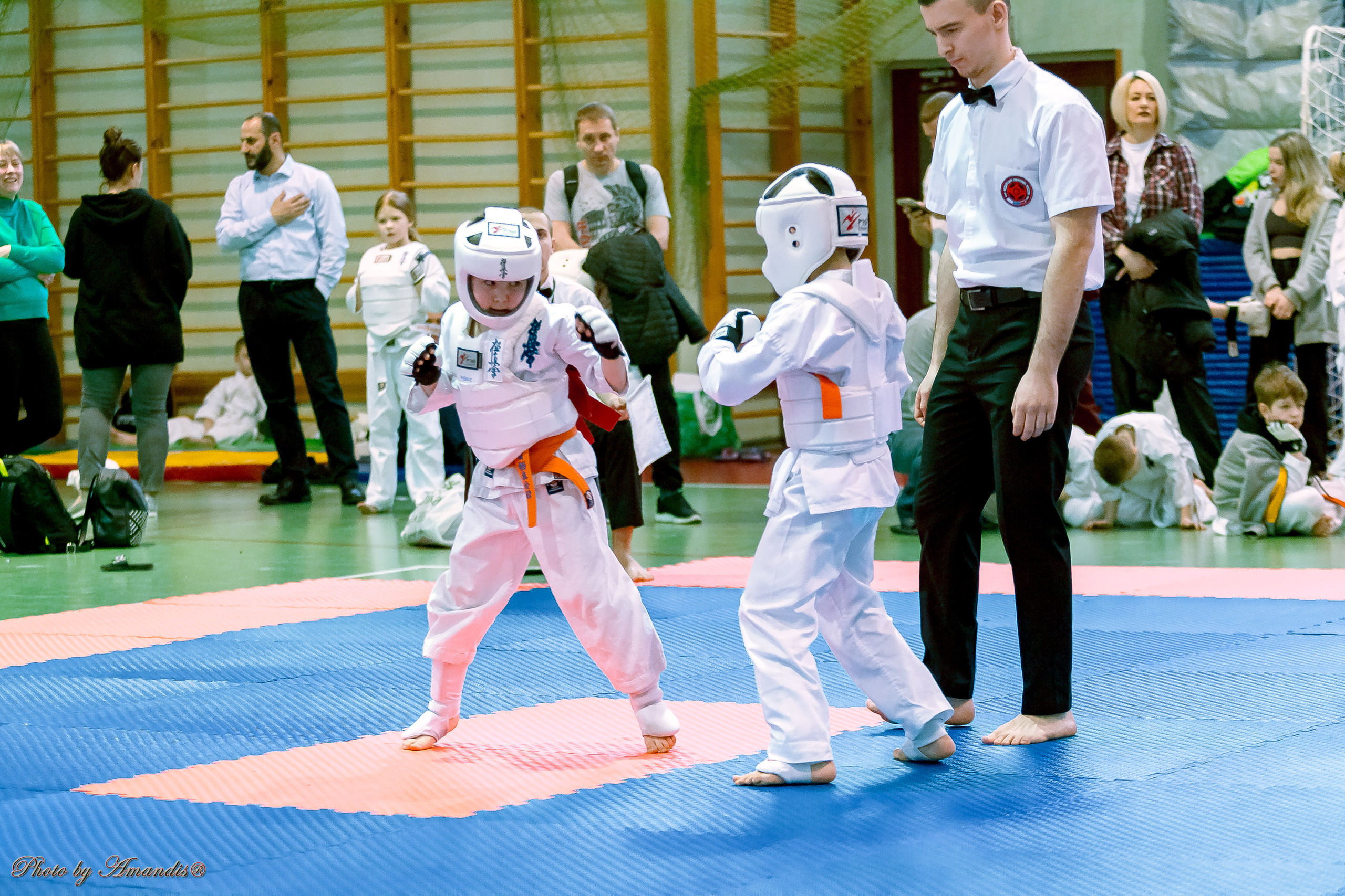 Кубок Seiken. Репортажная съемка в Москве и области. Анималистика