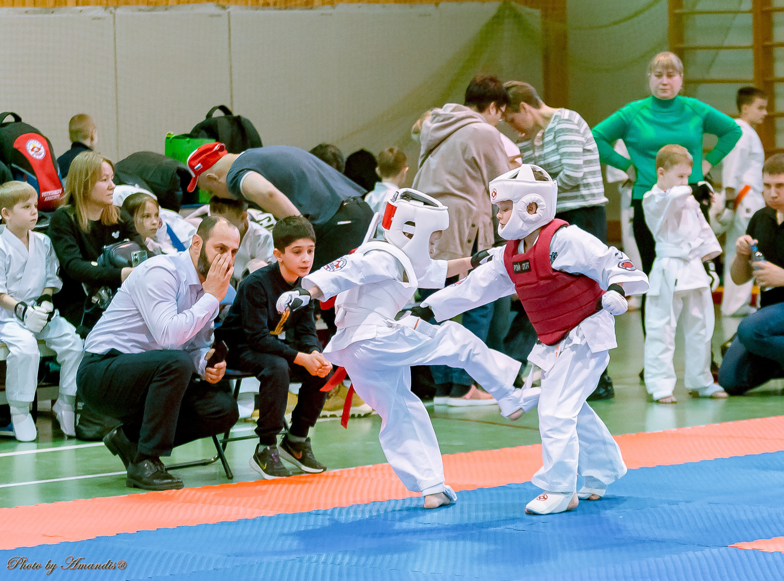 Кубок Seiken. Репортажная съемка в Москве и области. Анималистика