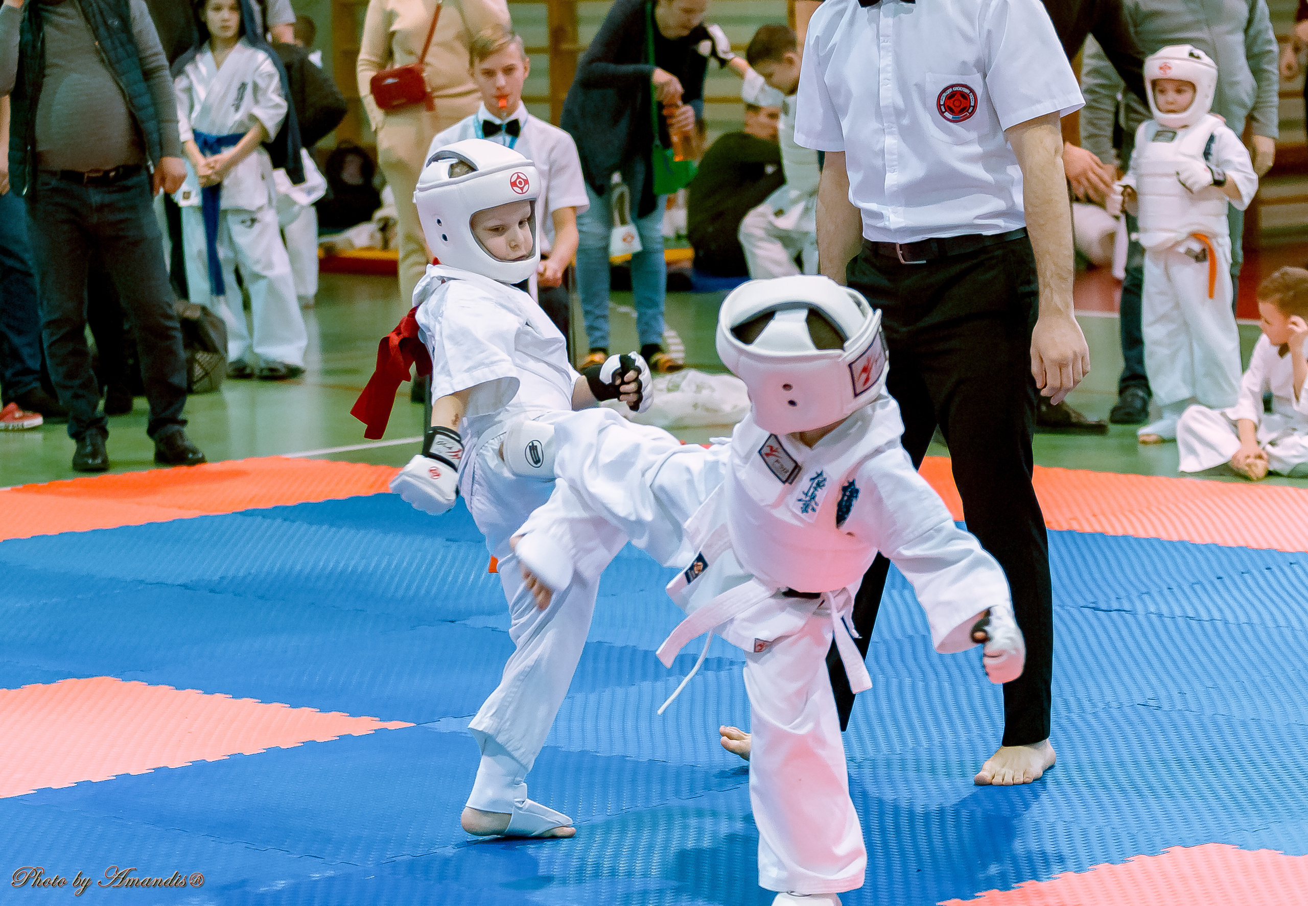 Кубок Seiken. Репортажная съемка в Москве и области. Анималистика