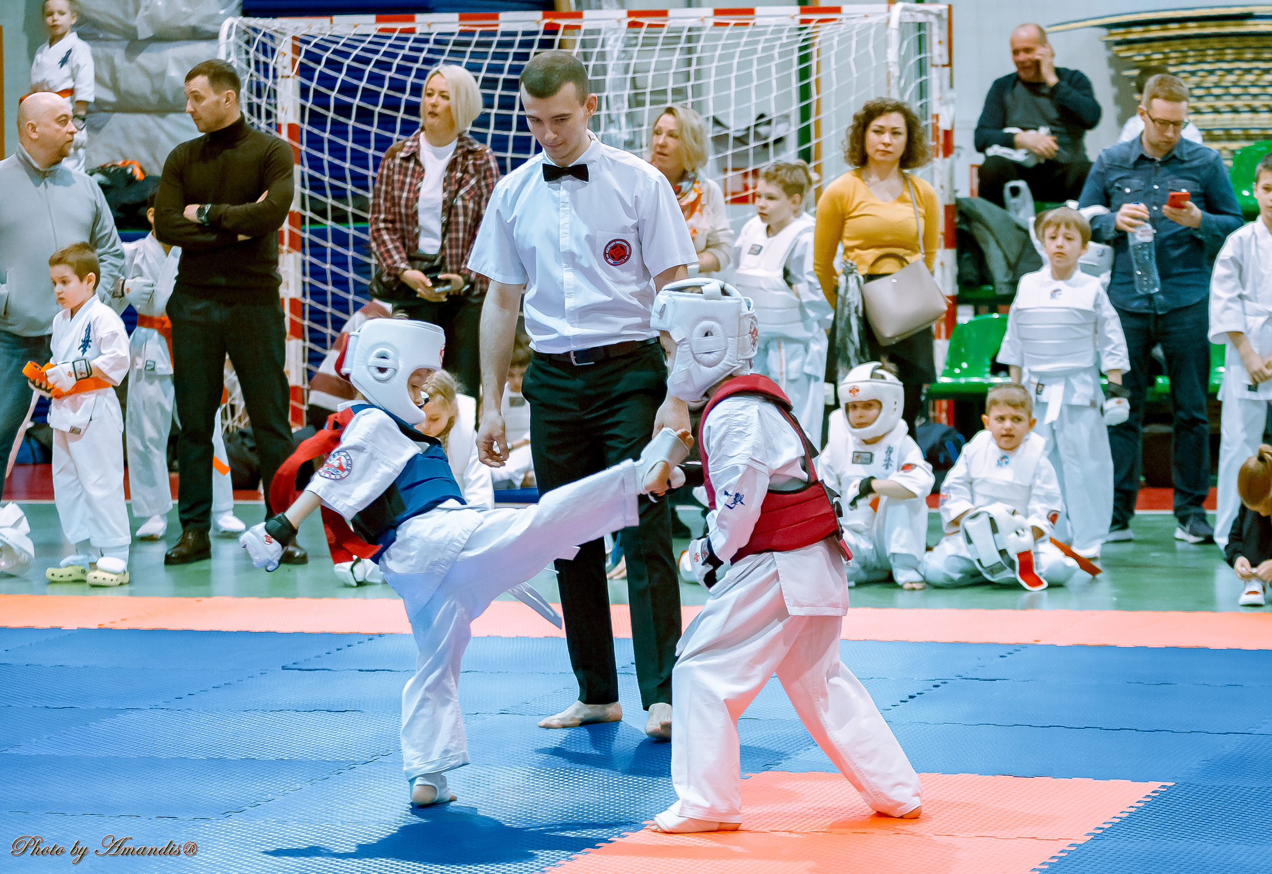 Кубок Seiken. Репортажная съемка в Москве и области. Анималистика