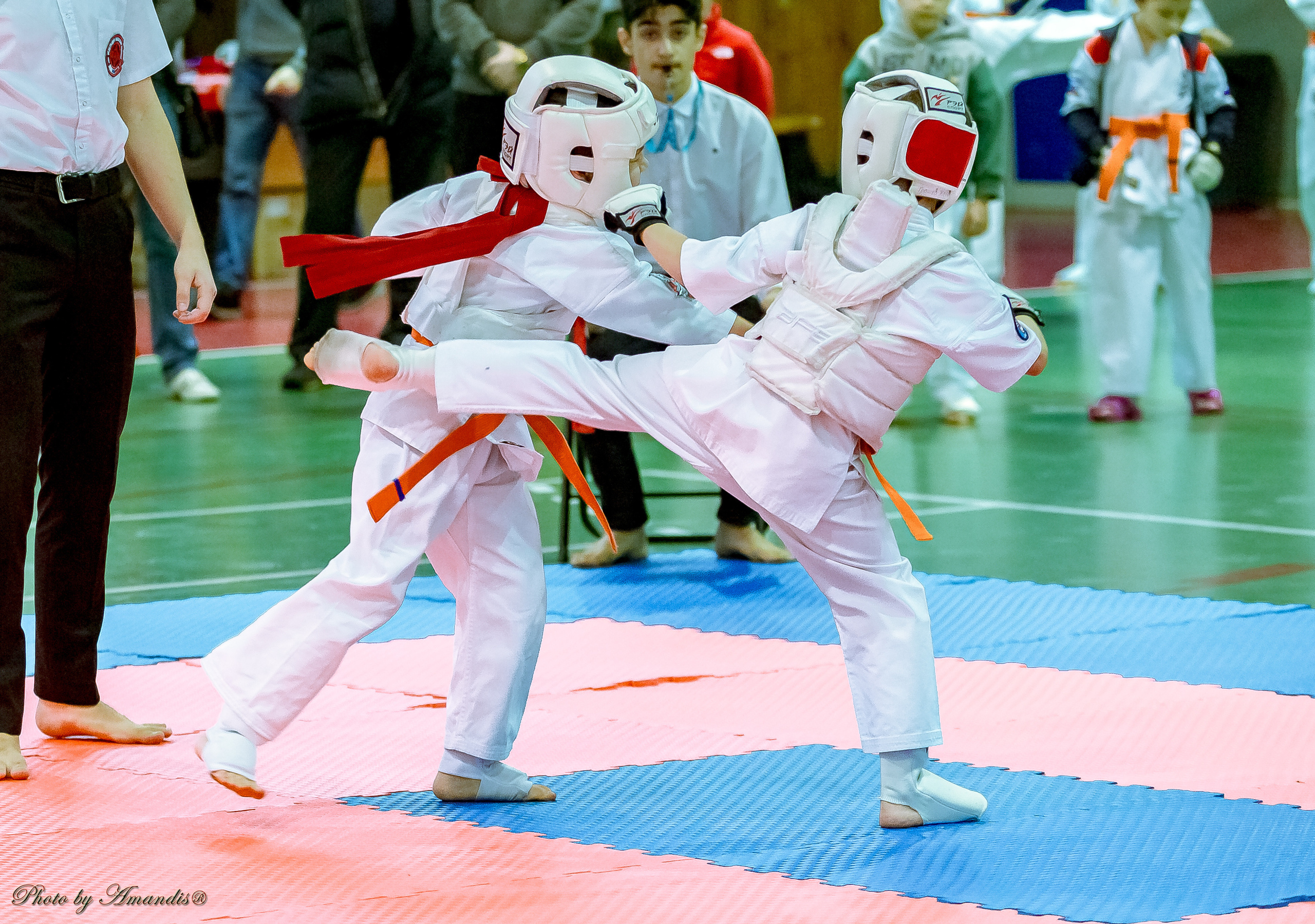 Кубок Seiken. Репортажная съемка в Москве и области. Анималистика