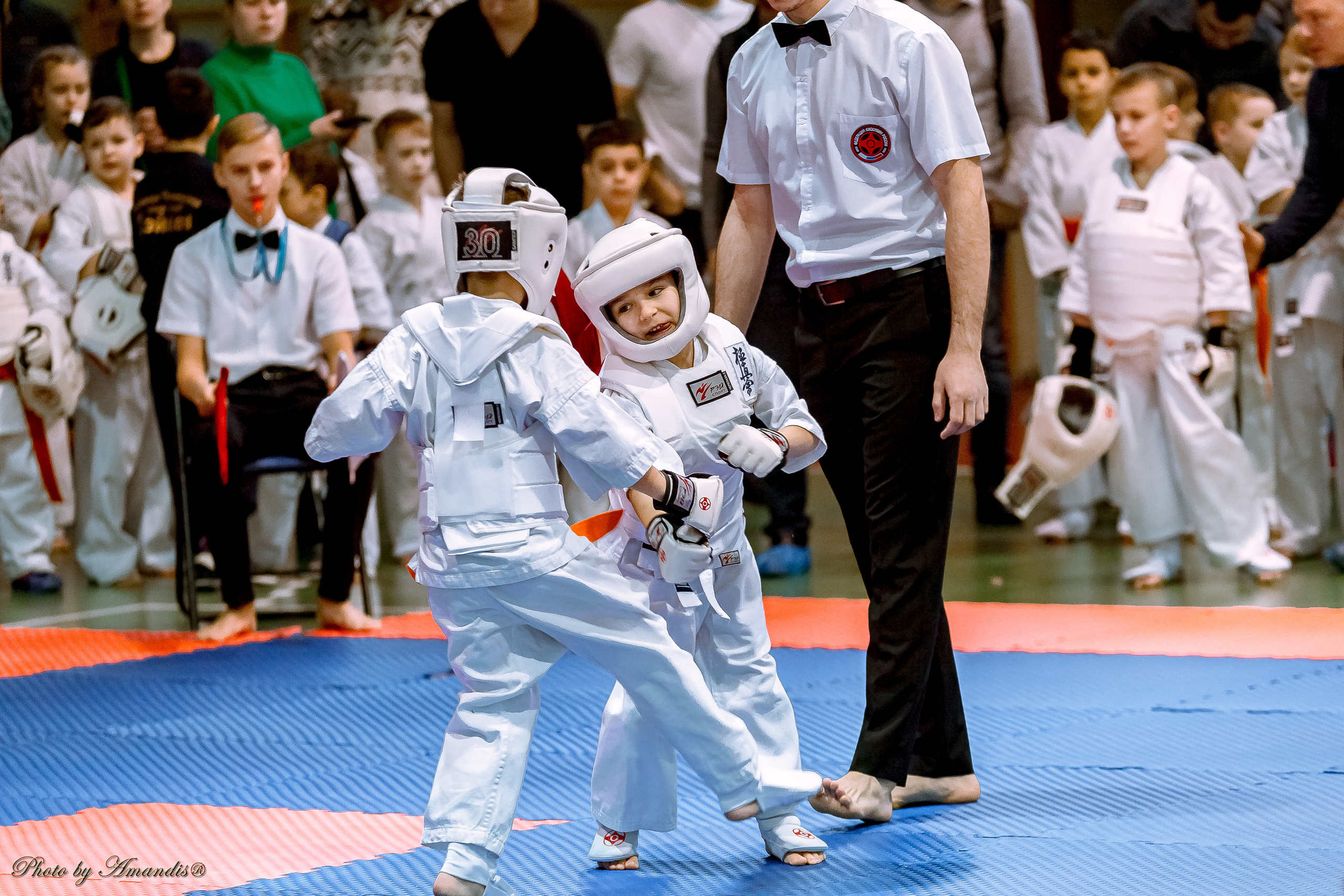 Кубок Seiken. Репортажная съемка в Москве и области. Анималистика
