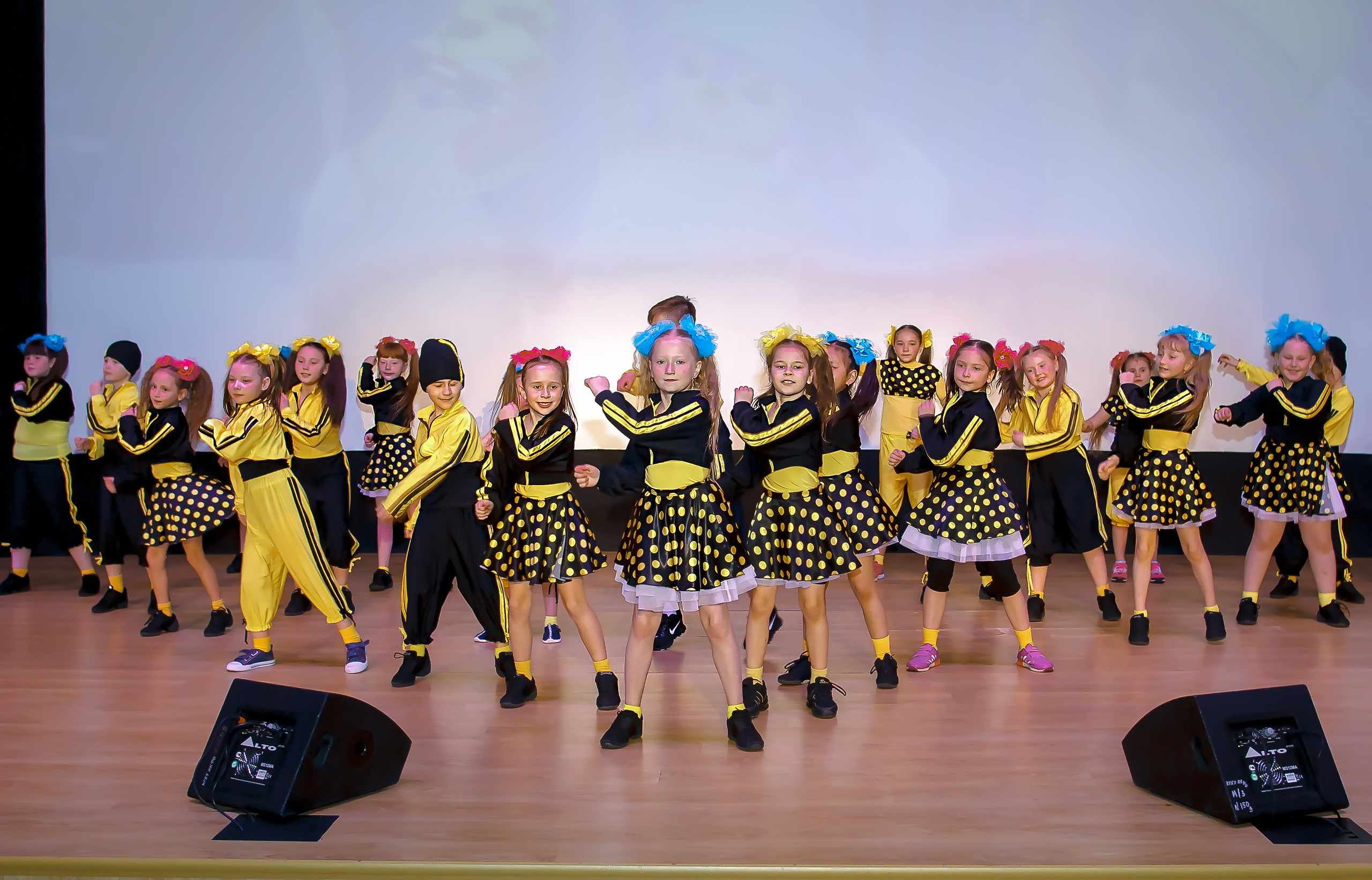 Отчетный концерт молодых творческих коллективов. Репортажная съемка в Москве и области. Анималистика