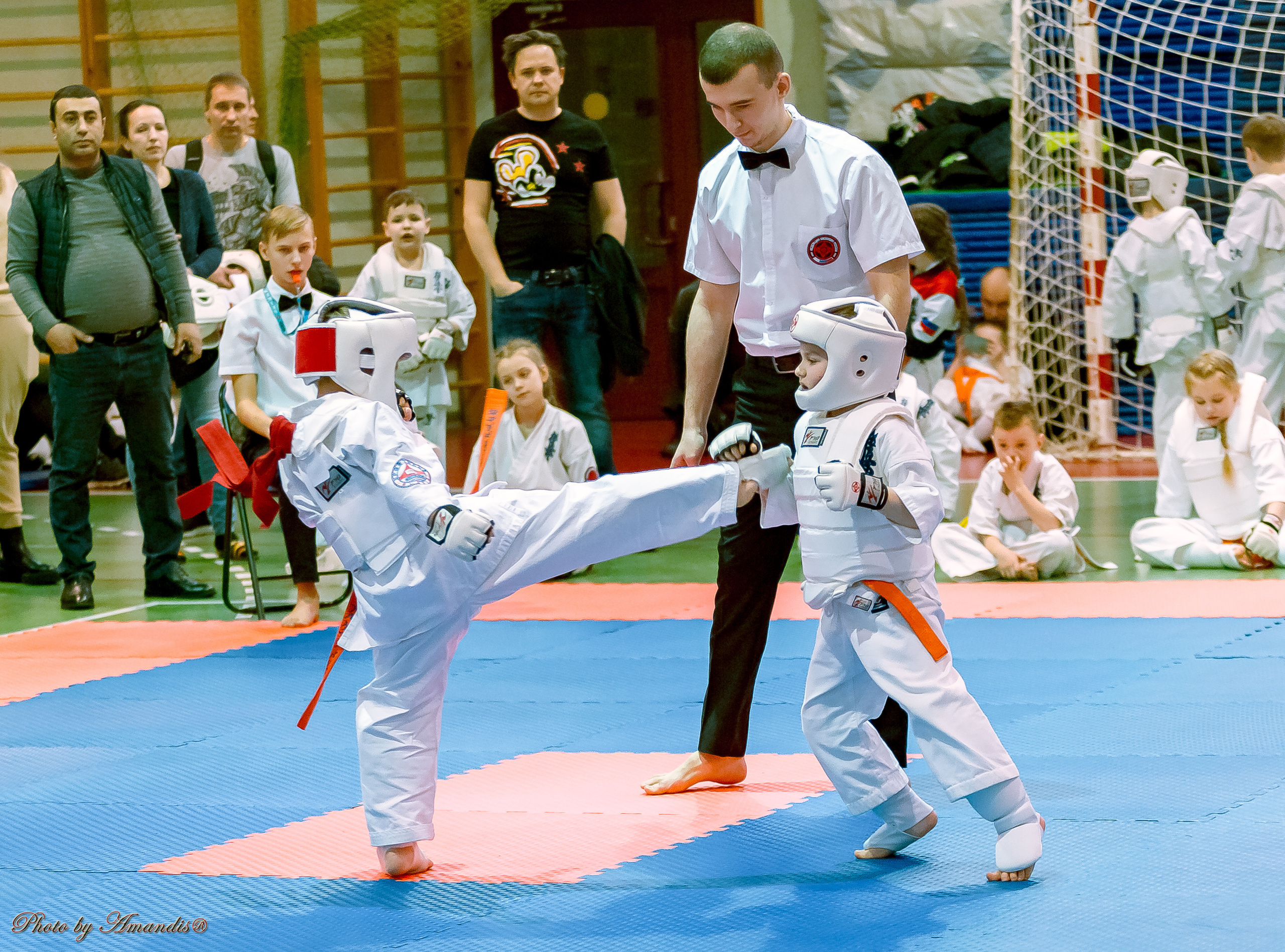 Кубок Seiken. Репортажная съемка в Москве и области. Анималистика