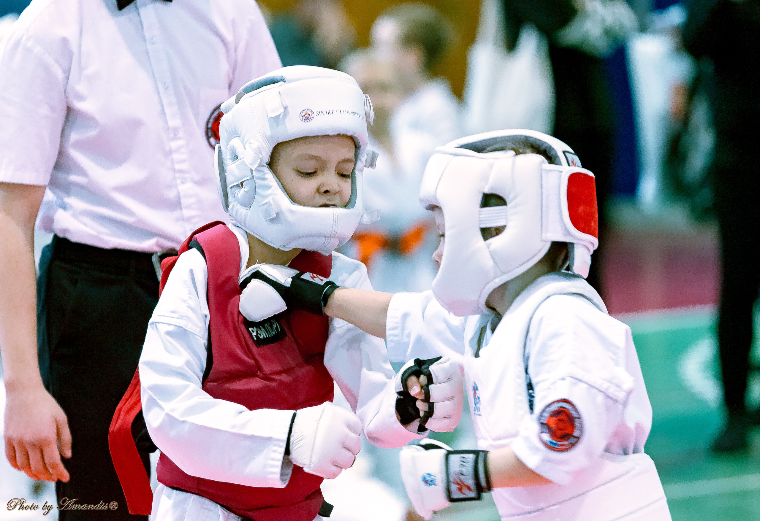 Кубок Seiken. Репортажная съемка в Москве и области. Анималистика