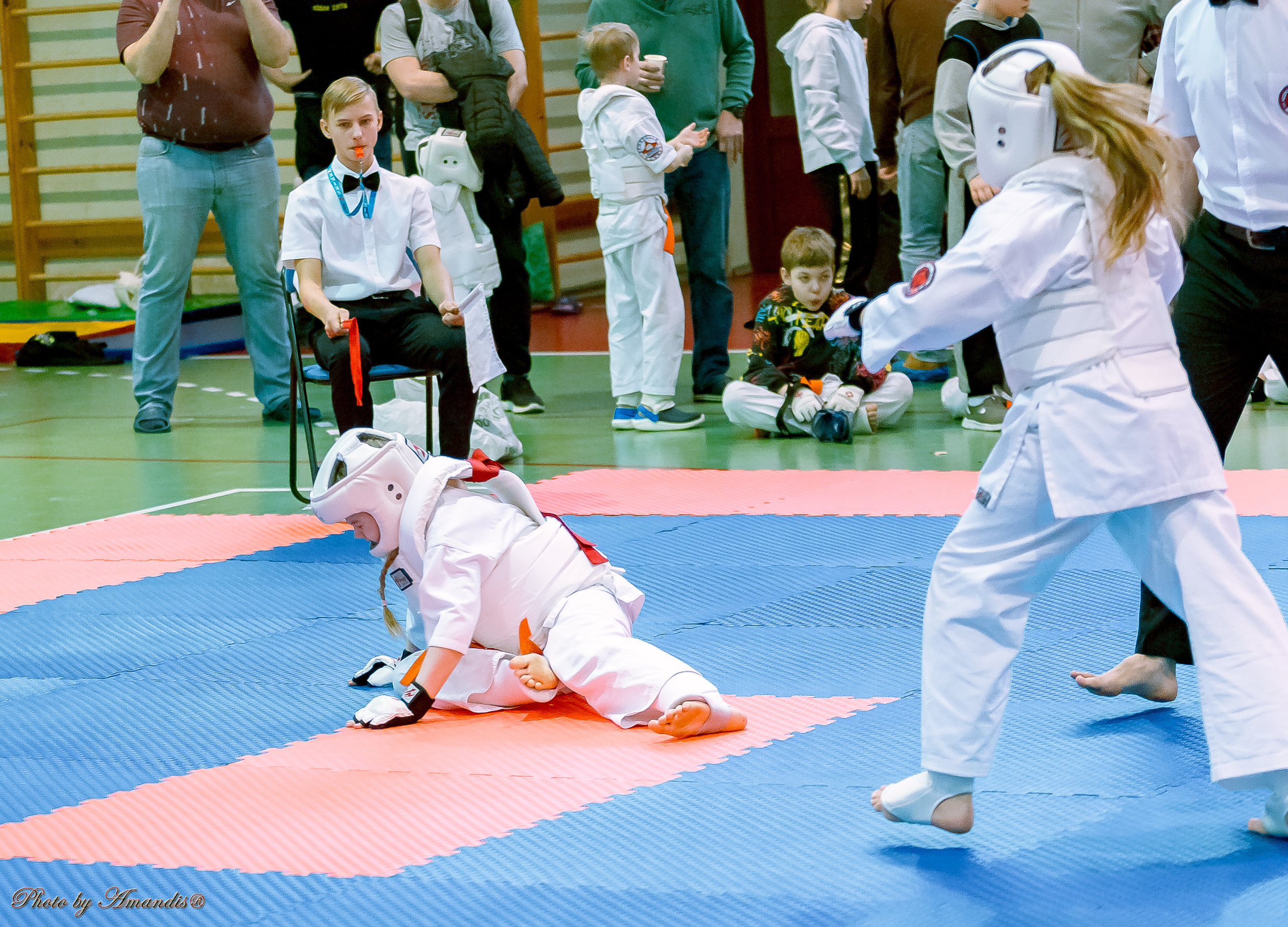 Кубок Seiken. Репортажная съемка в Москве и области. Анималистика