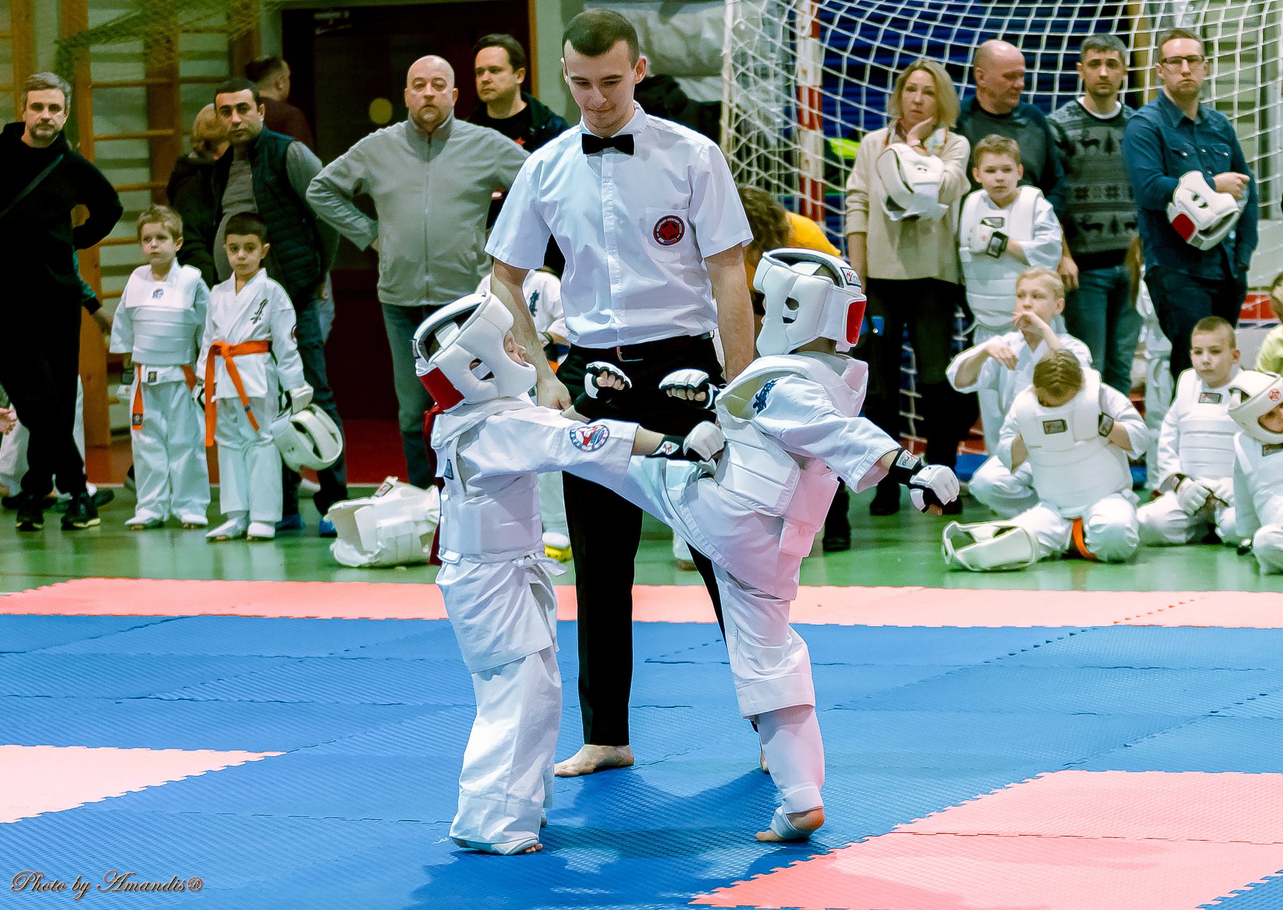 Кубок Seiken. Репортажная съемка в Москве и области. Анималистика