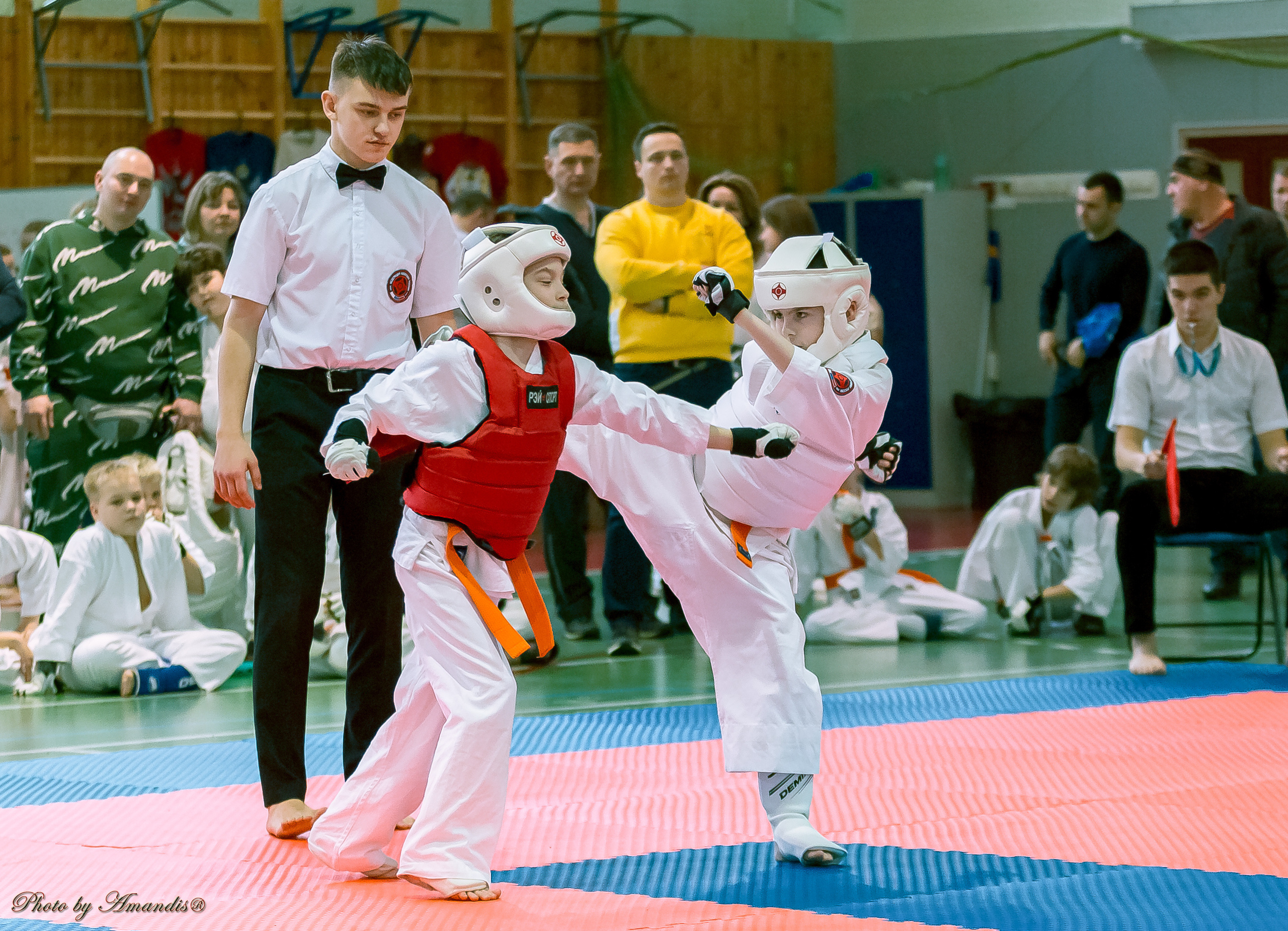 Кубок Seiken. Репортажная съемка в Москве и области. Анималистика