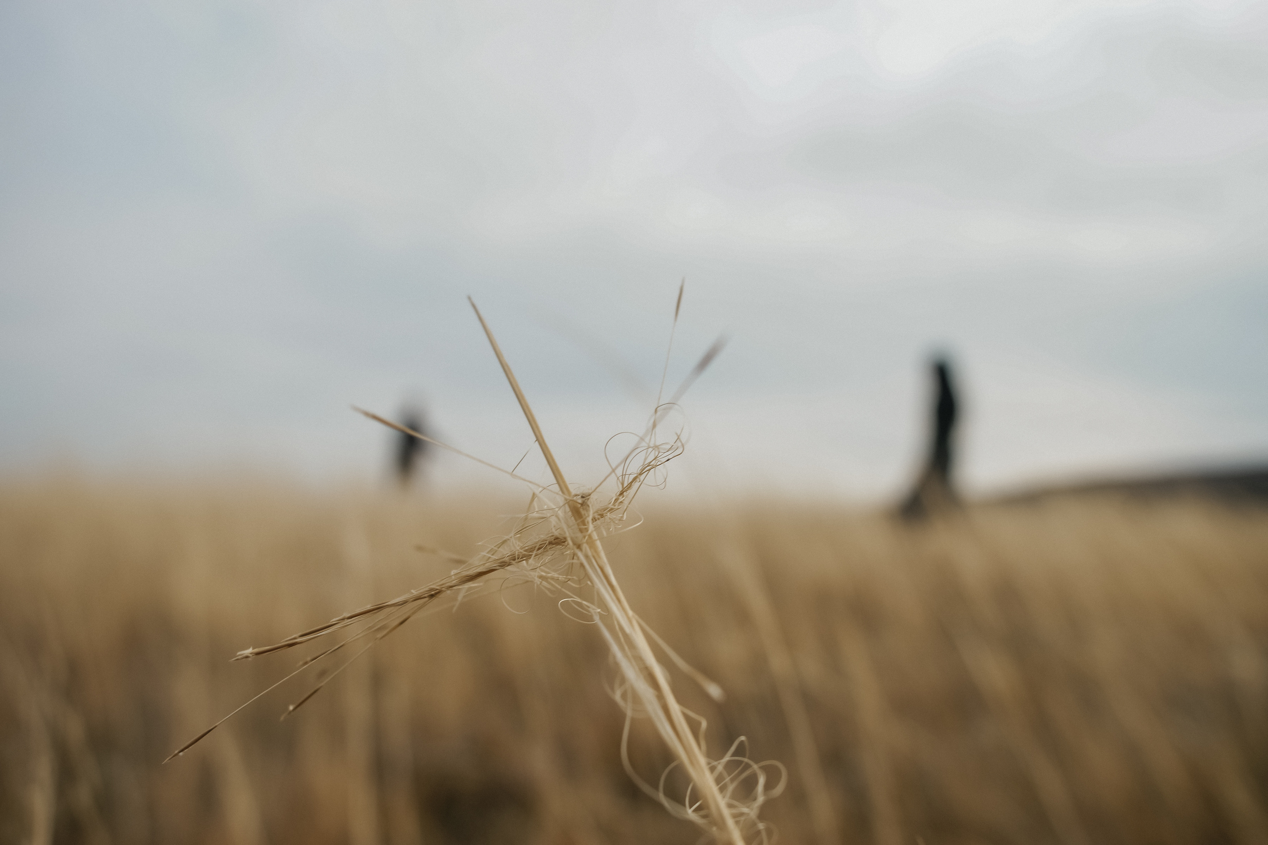 Ольга Плаксина фотограф в Саратове
