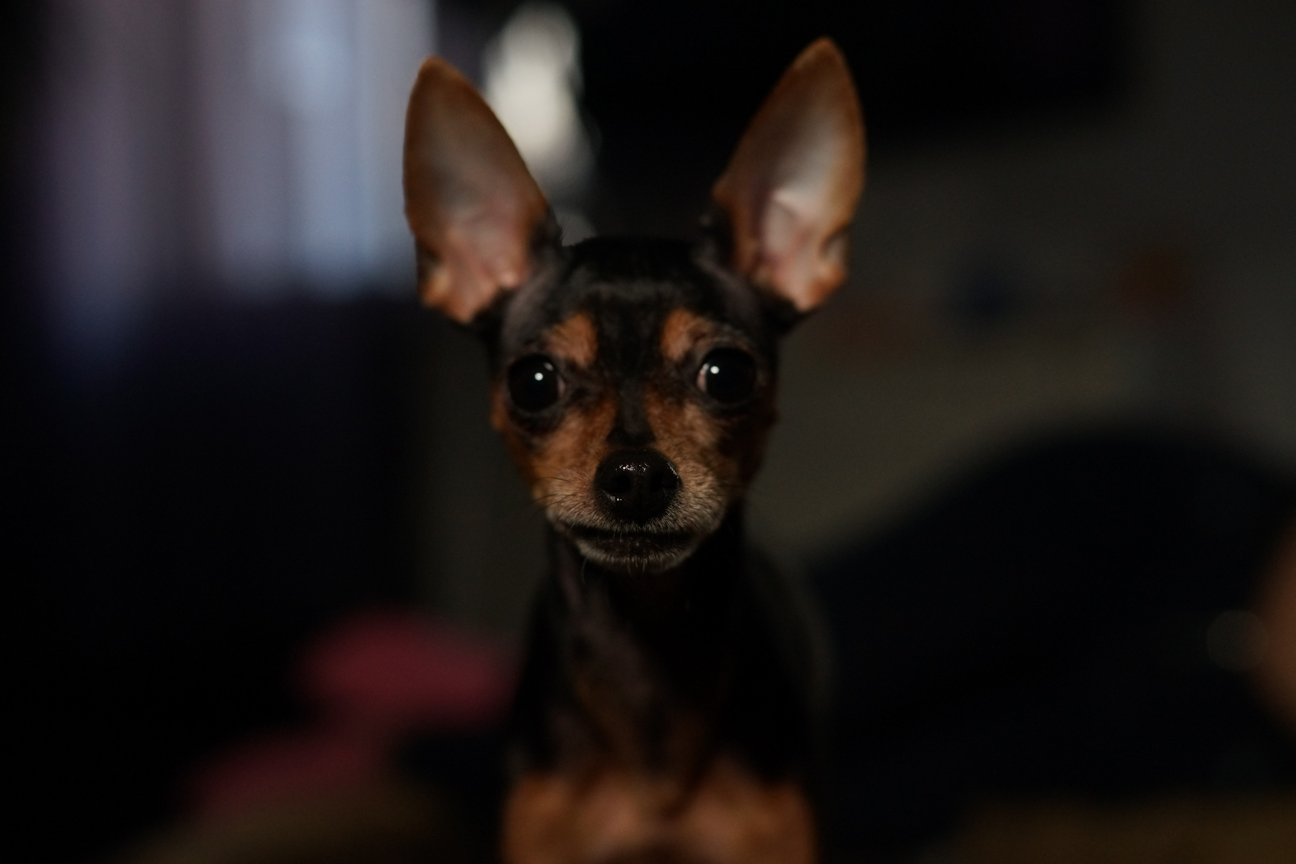 Ольга Плаксина фотограф в Саратове