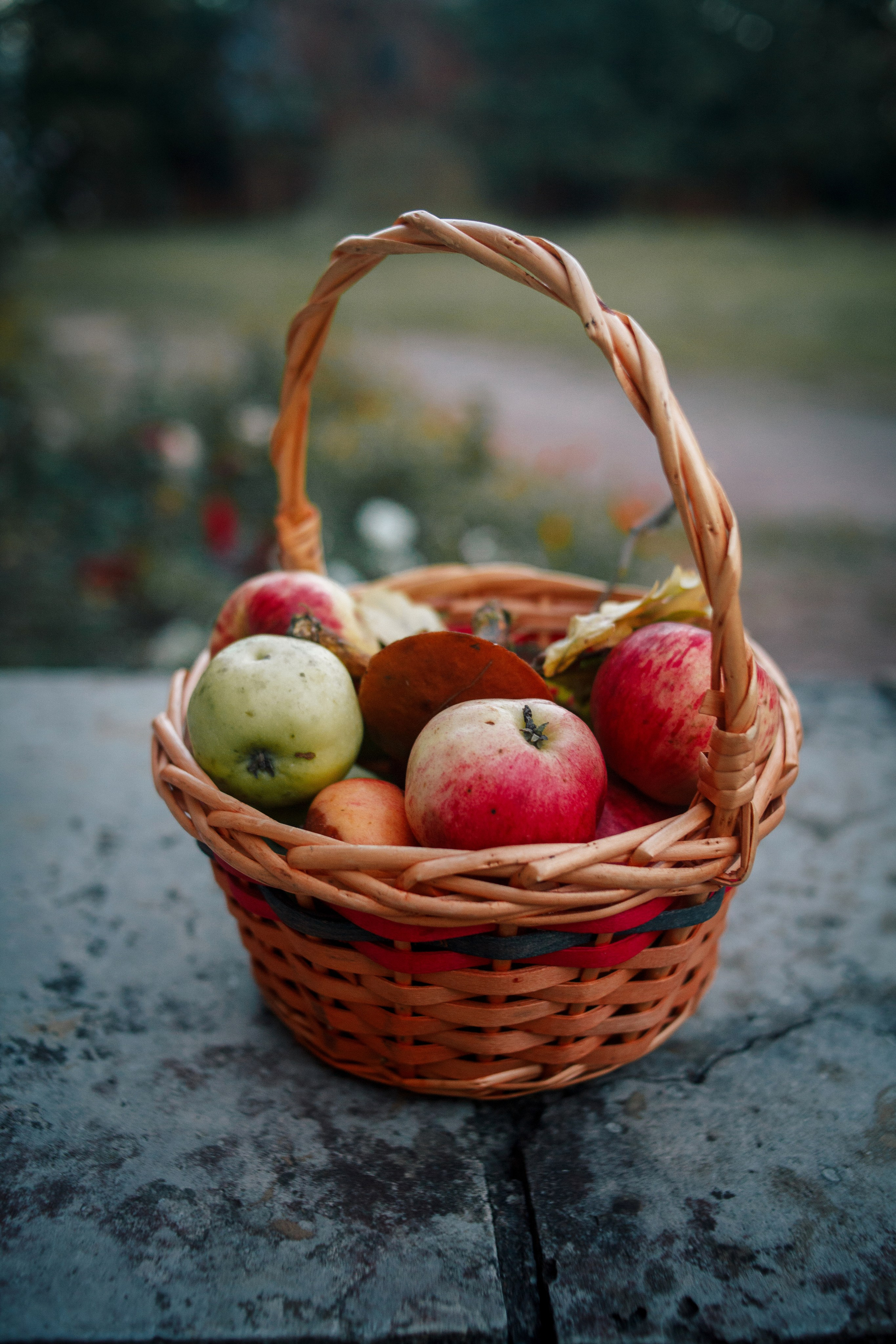 Софи — Яркая индивидуальная фотосессия. Семейный фотограф во Всеволожске и Санкт-Петербурге Юлия Капустина