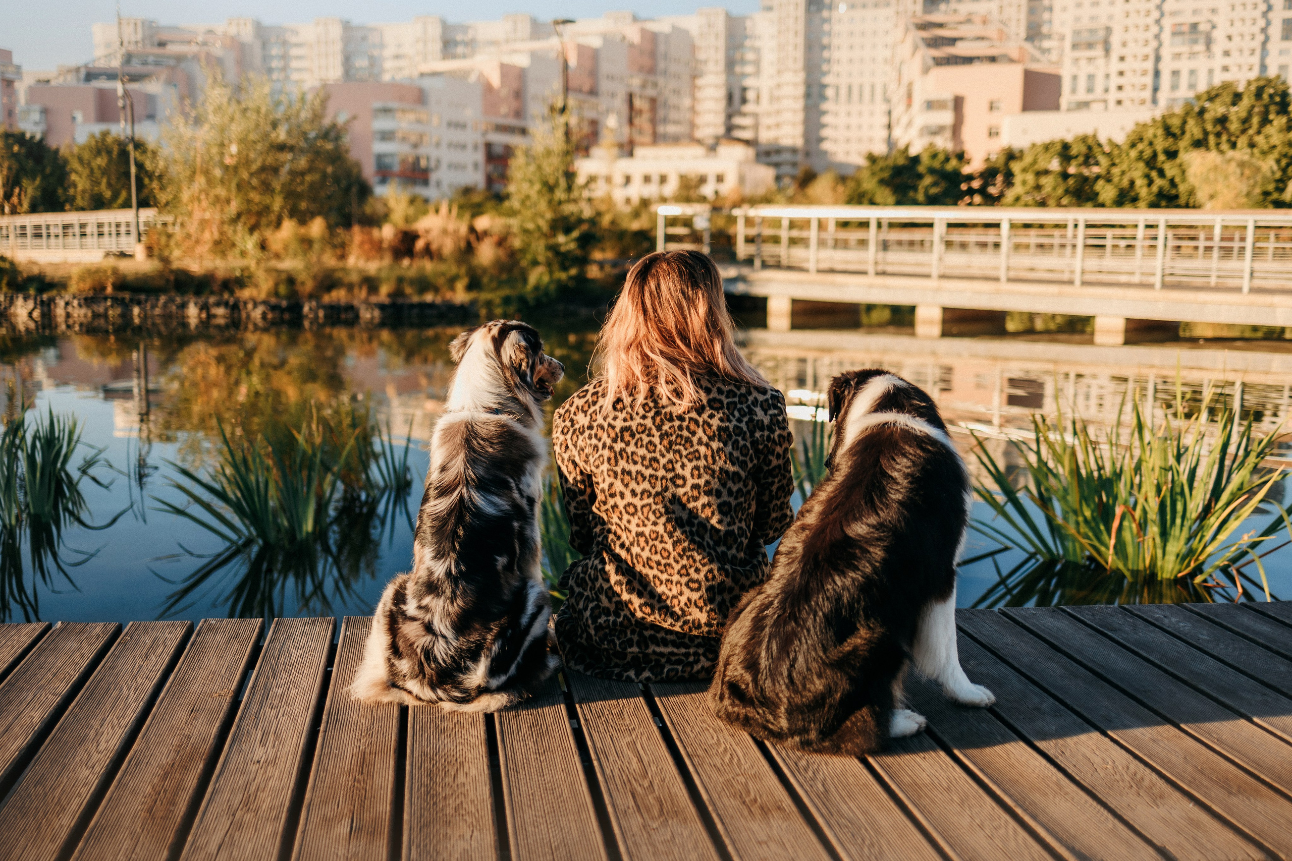Аня, Чарли и Ева. Фотограф-анималист Елена Радченко, Москва