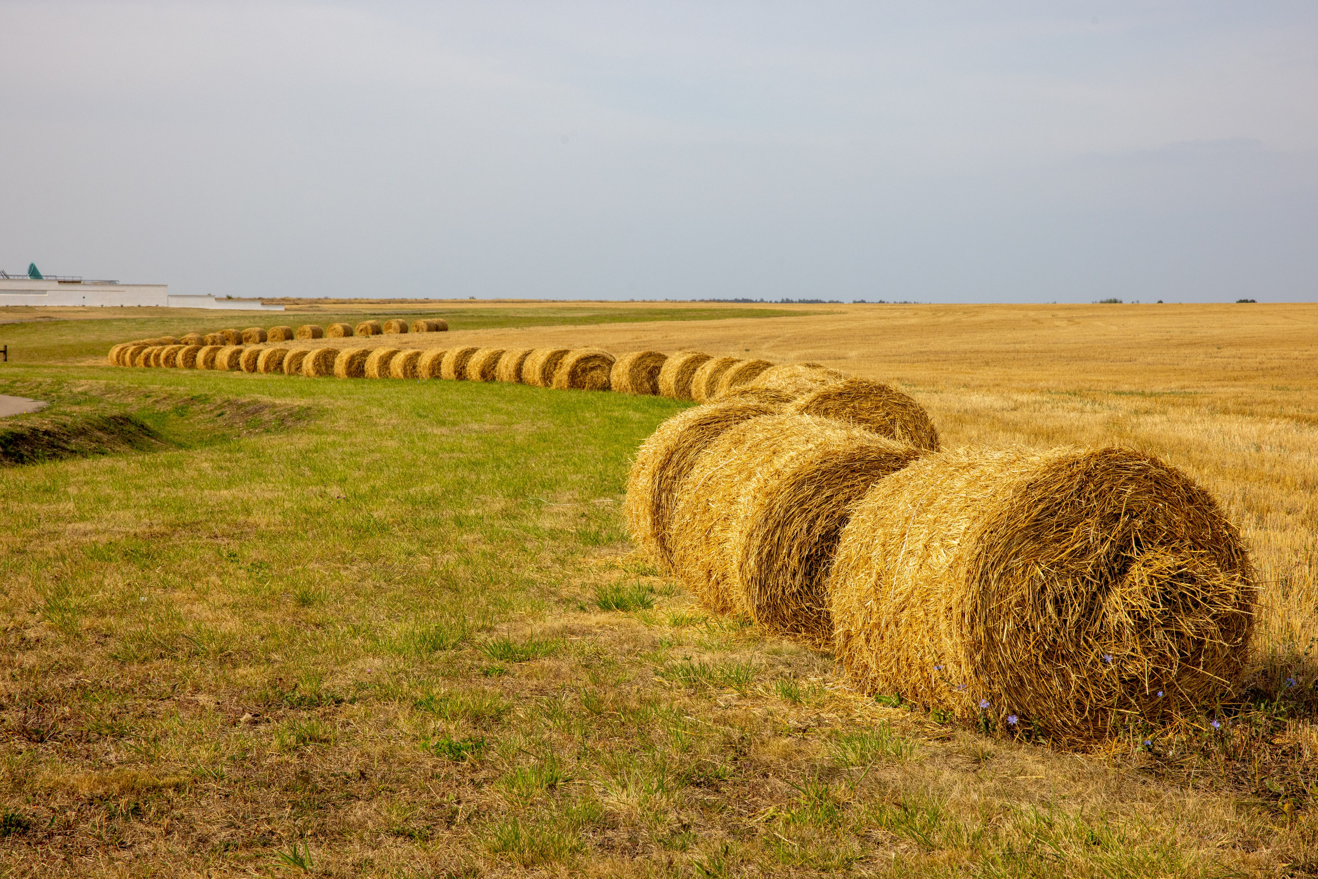 Поездка на поле Кулеково. Фотограф в Туле Крупский АнДРей. Фотостудия «КАДР71» в Туле