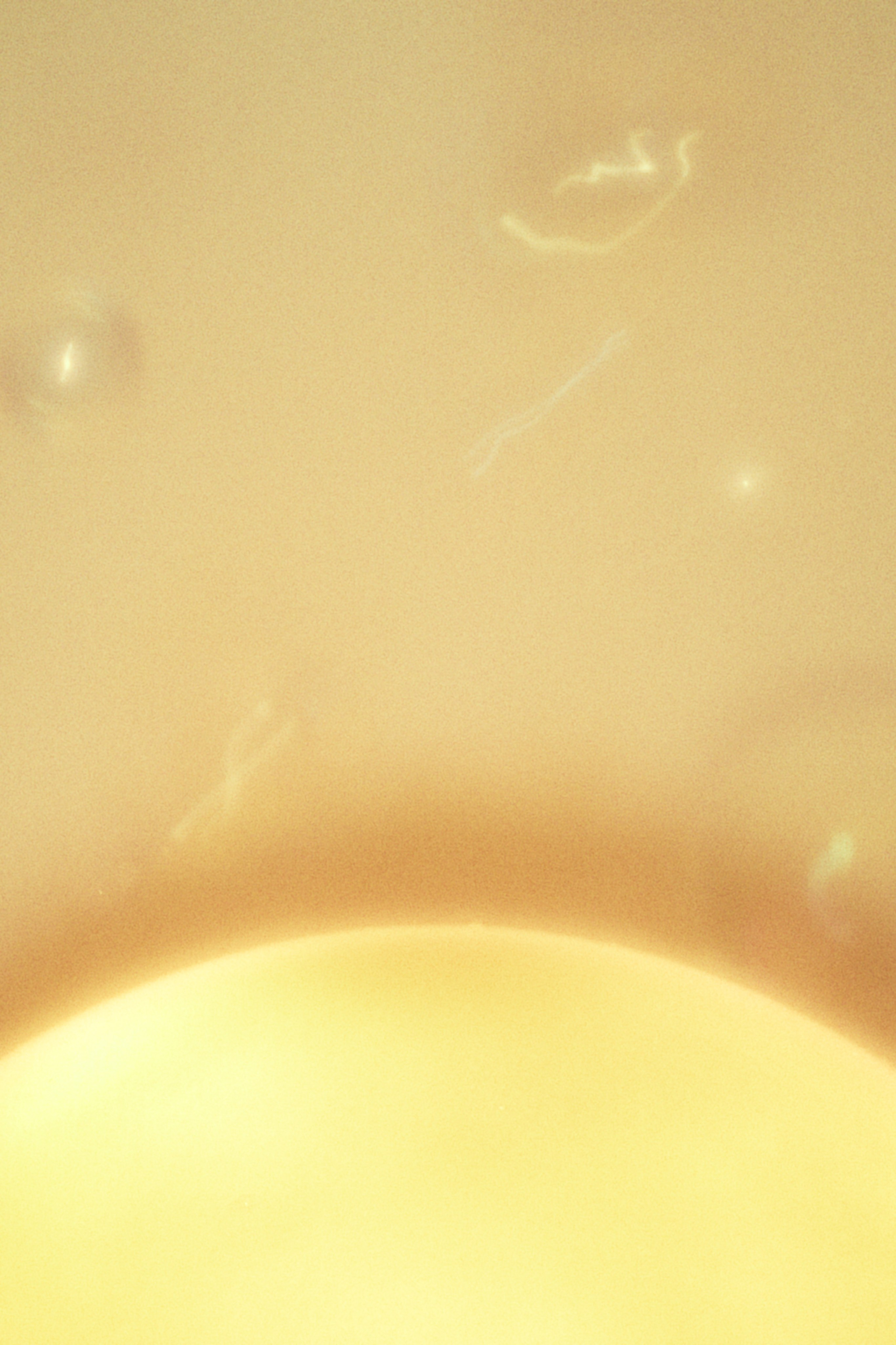 TIME PROJECT. Anna Konushkina — visual artist