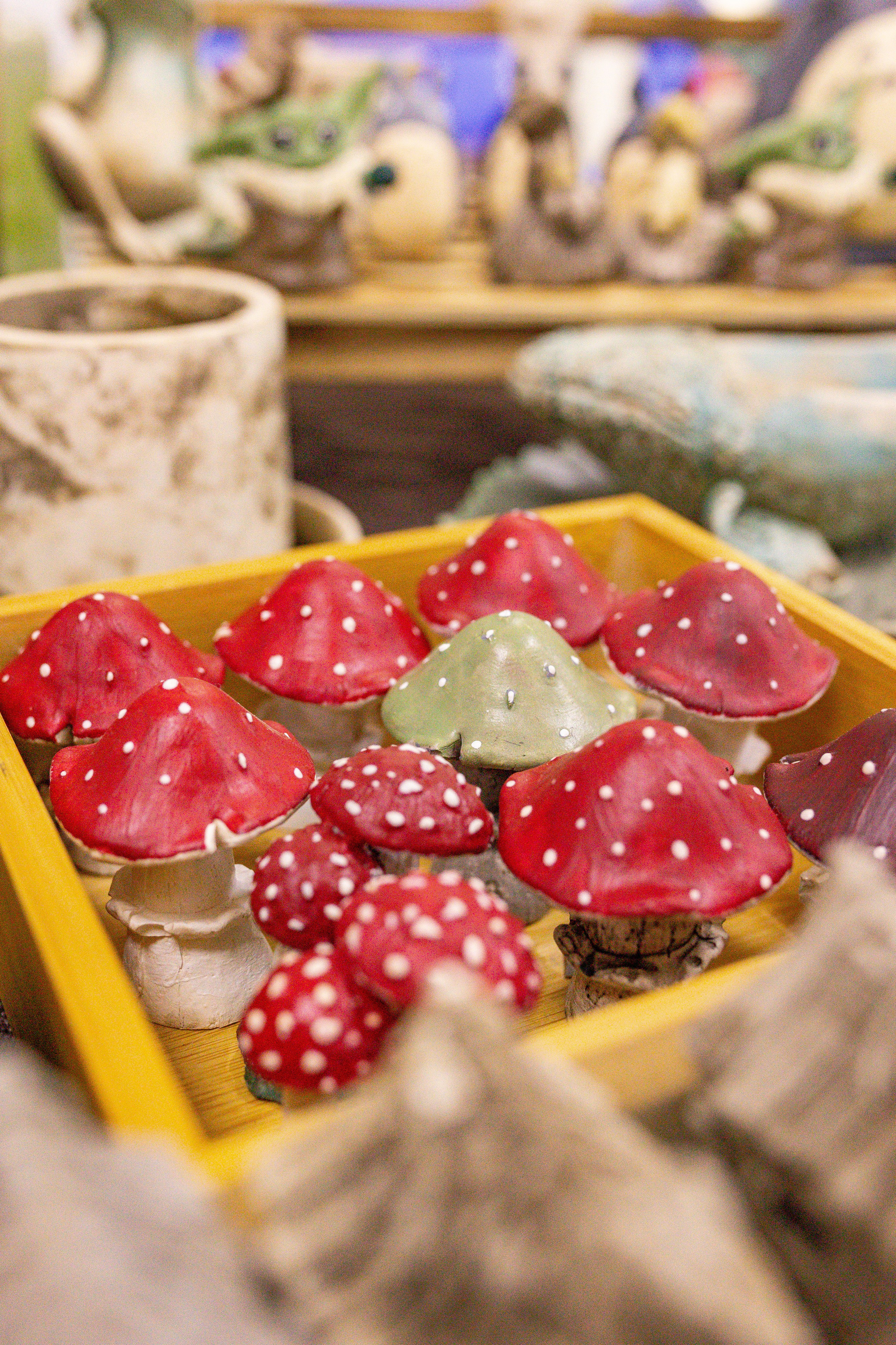 Орхидиум сентябрь 2025. Александра Куликова фотограф, Москва