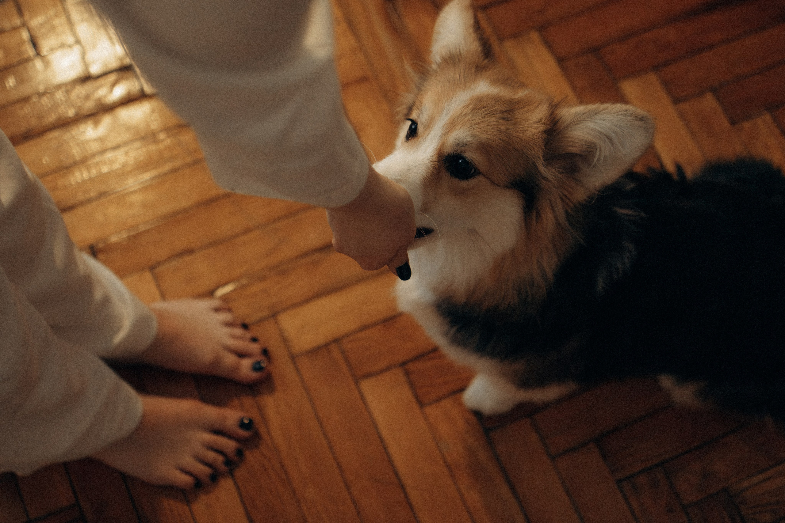 Мишель и Влада. Фотораф — анималист Мария Шистка