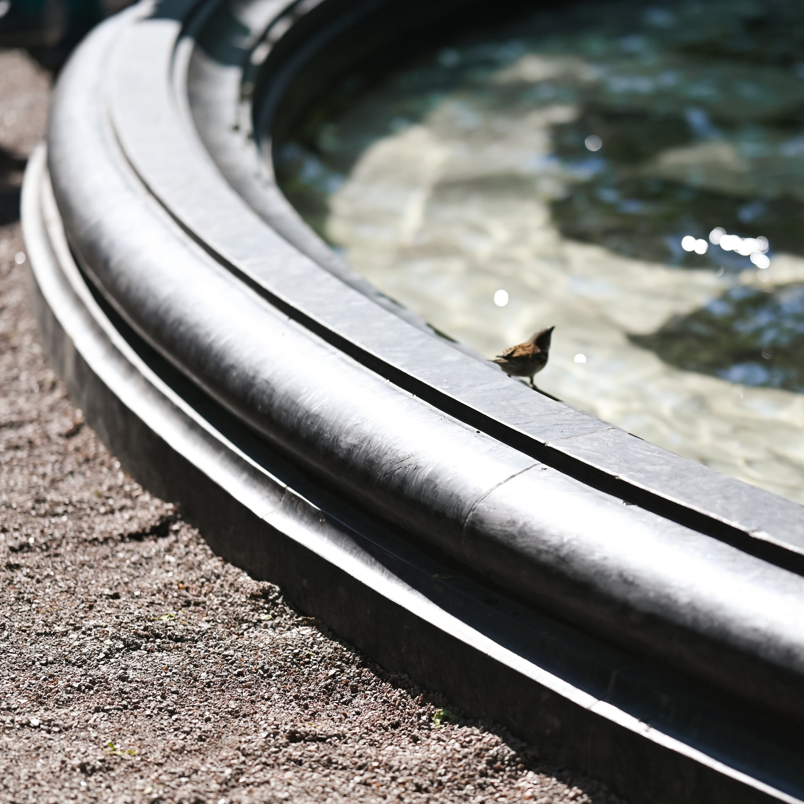 . ZDARONOKIA Репортажный фотограф