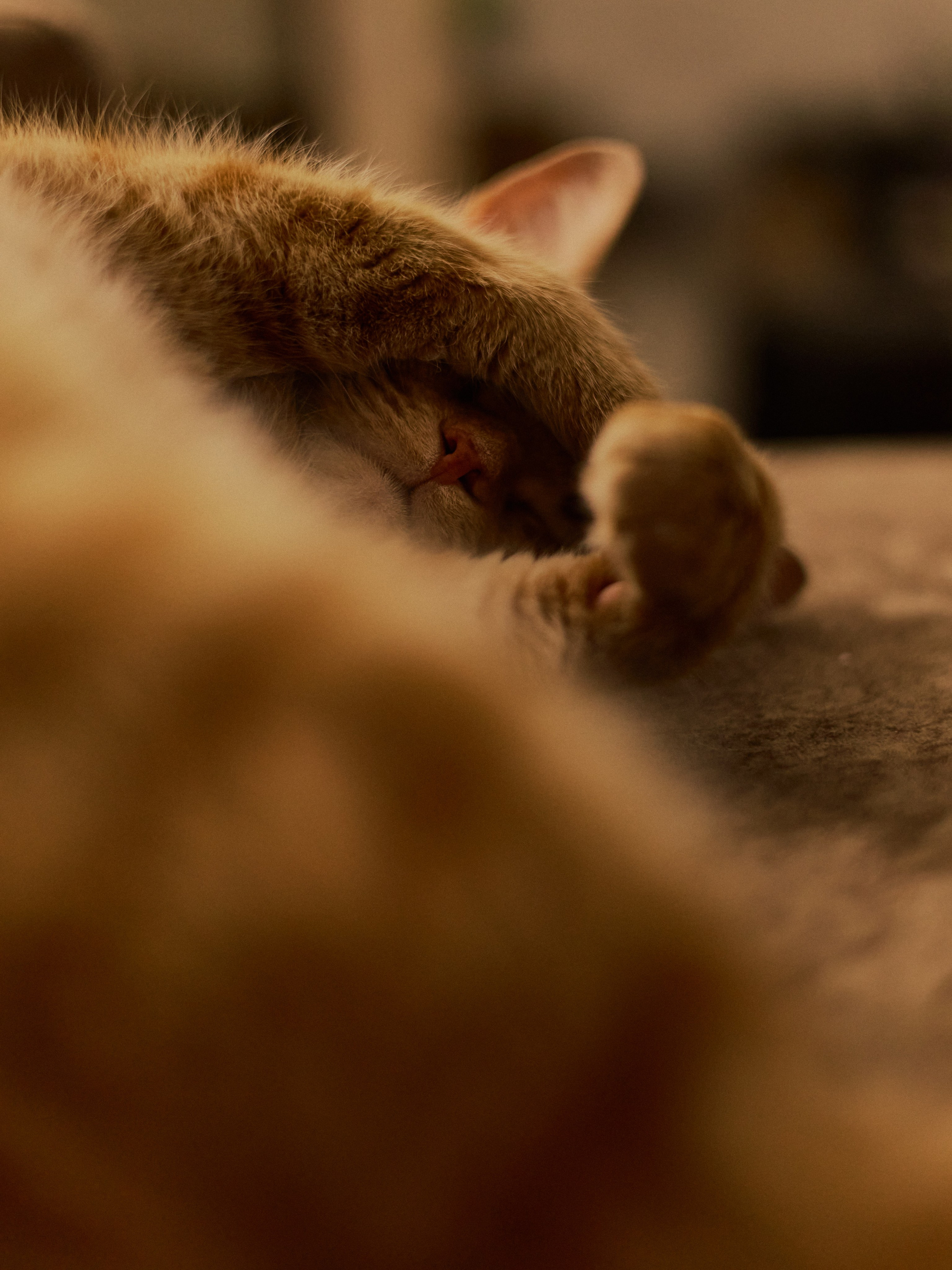 Другое 2. Jorgis Talè — photographer, kind person, teacher of arts and other mag