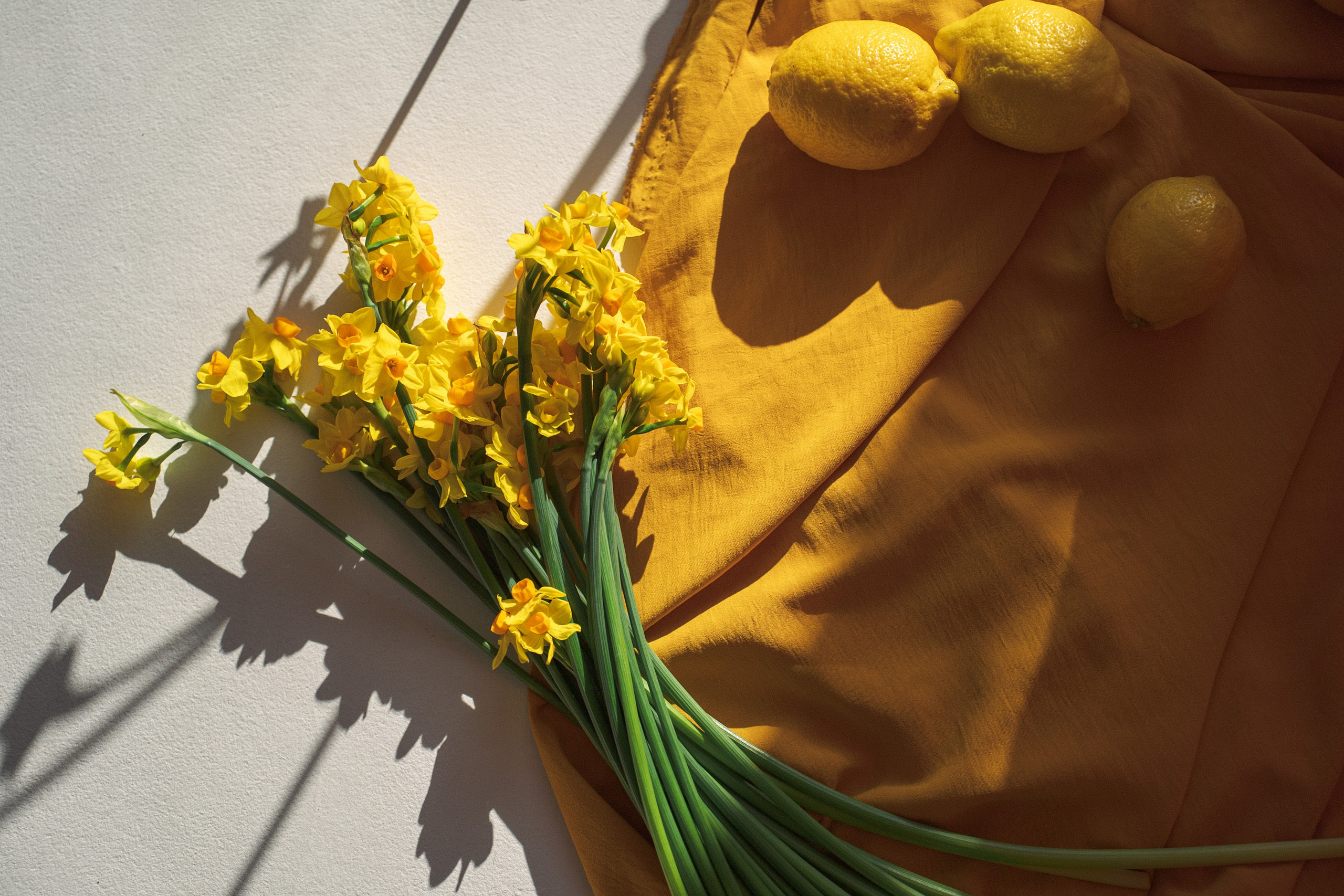 Limons. Семейный и портретный фотограф в г. Орск Алишер Азимов