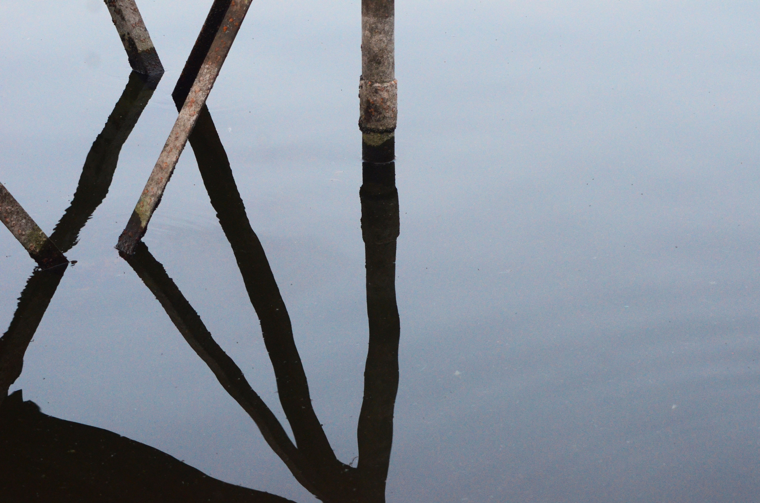 Системы хранения с фасадами из дикого дерева. Авторская фотография. Близнецовые пламёна