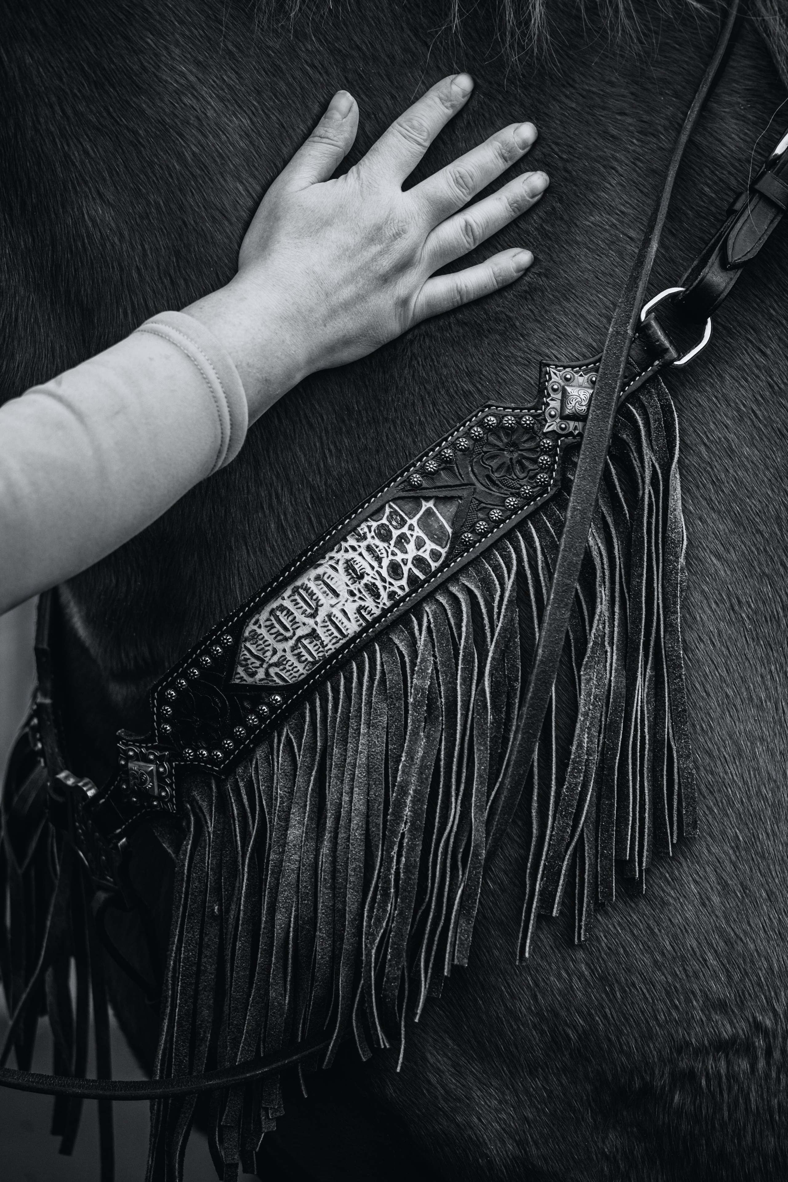 Лена и Рэджи. Фотограф-анималист Татьяна Степанова