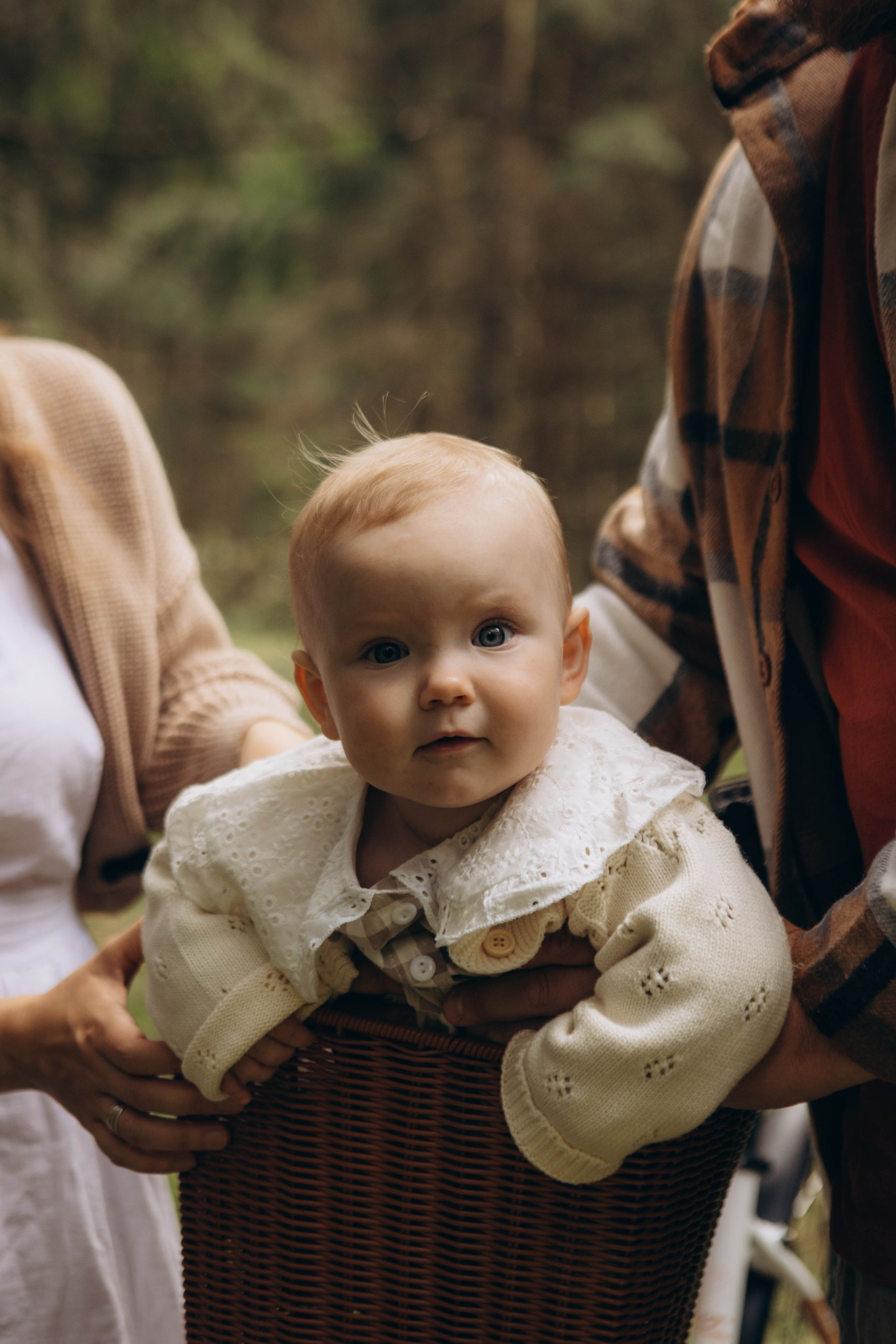 Лесная история. Наталья Косьянова. Ваш фотограф. Москва