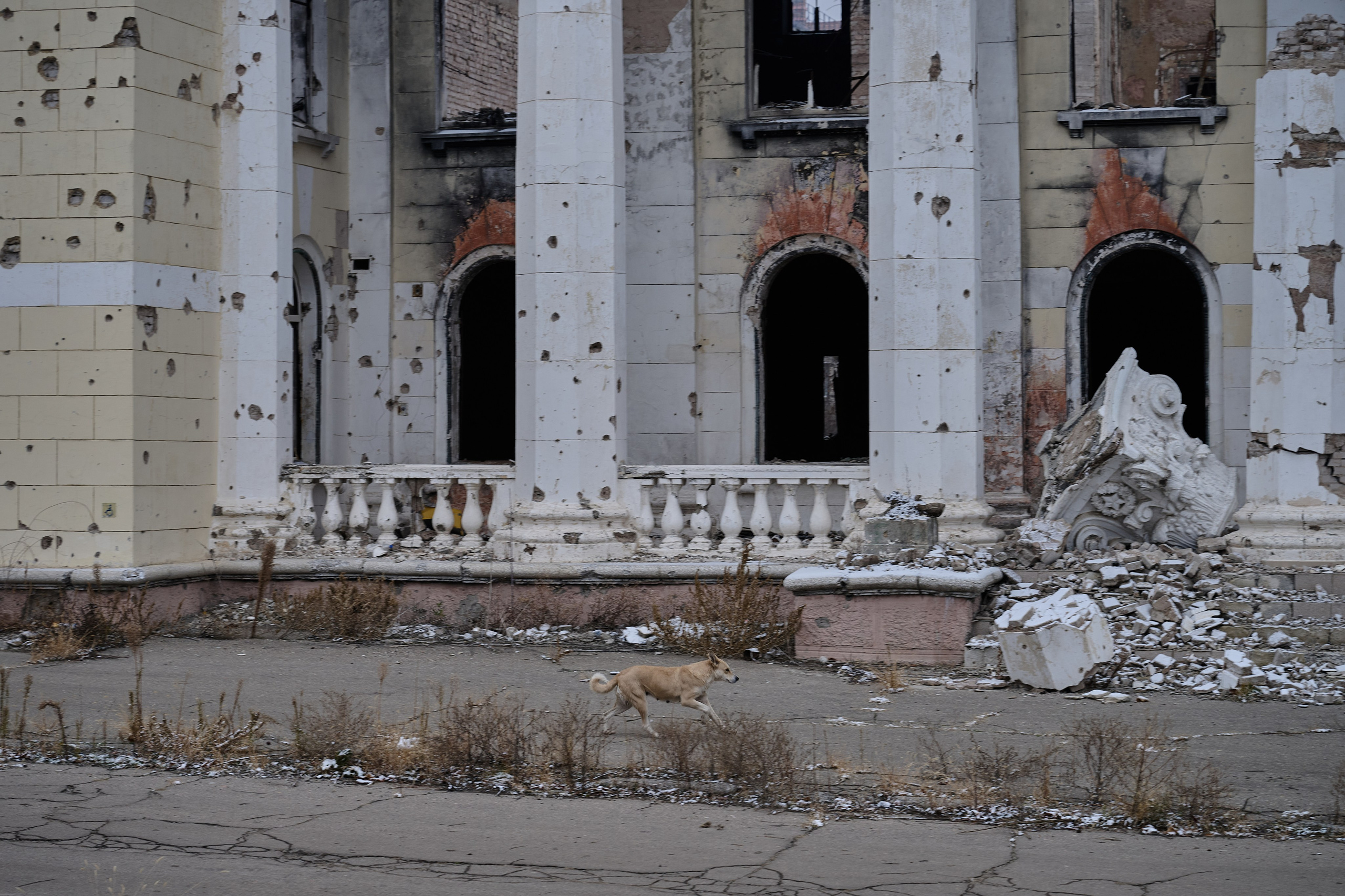 Лисичанск. Луганская область. Фотопроект «Территории»