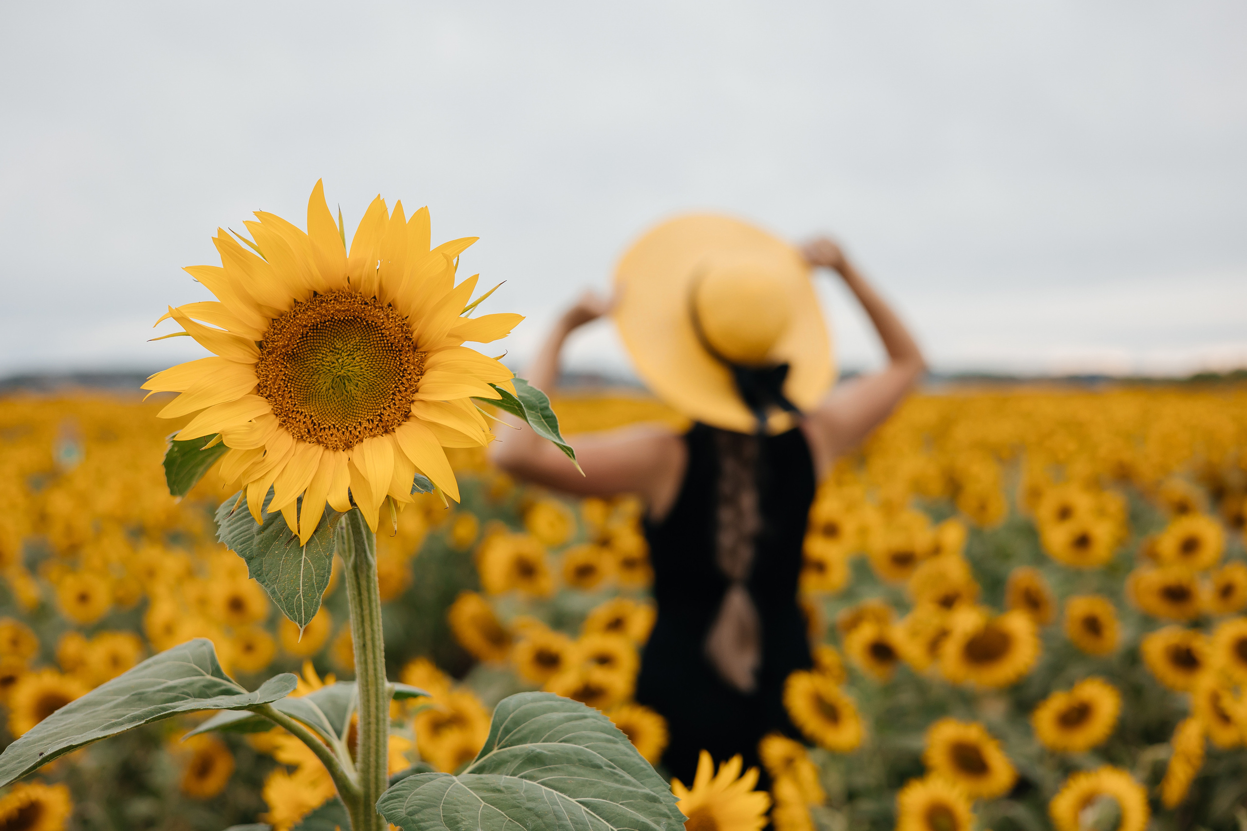 Прогулочные фотосессии. Свадебный фотограф Красноярск — Кристина Ива