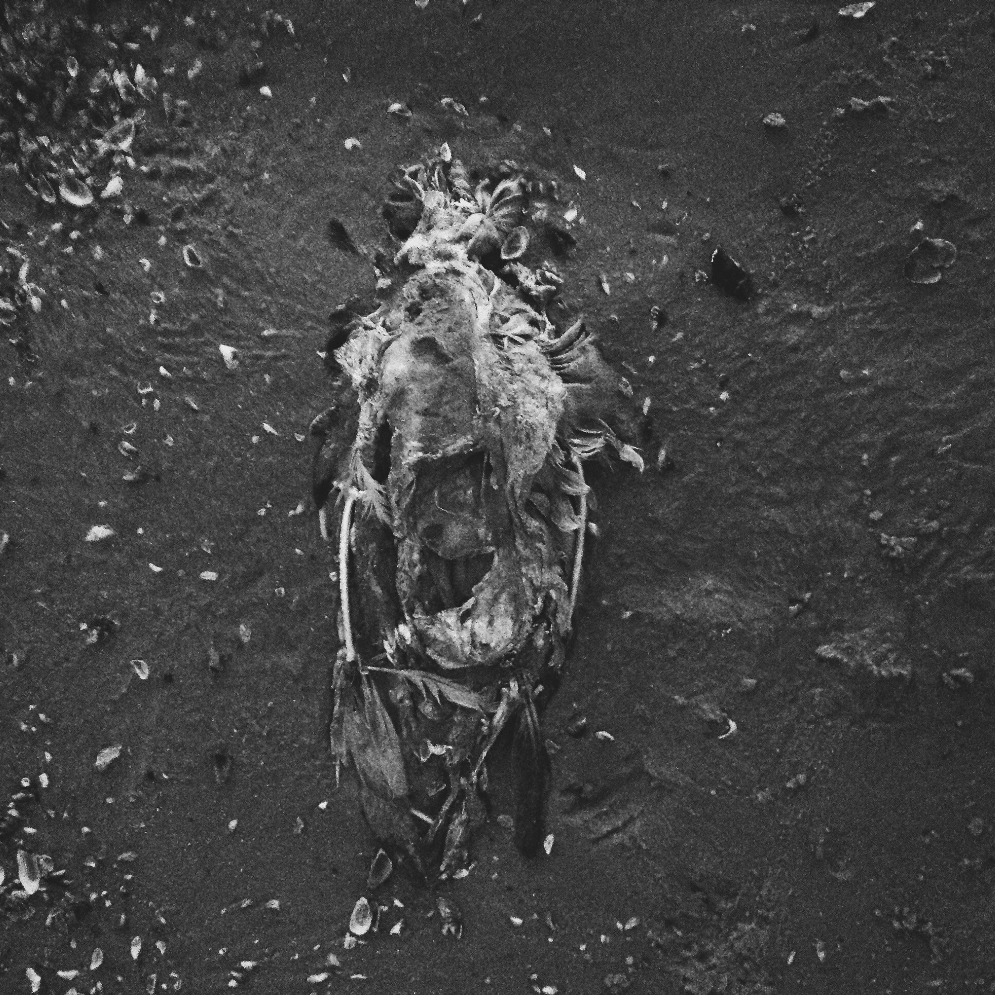 Визуальный дневник. Портретный фотограф в Москве Гахраманова Екатерина