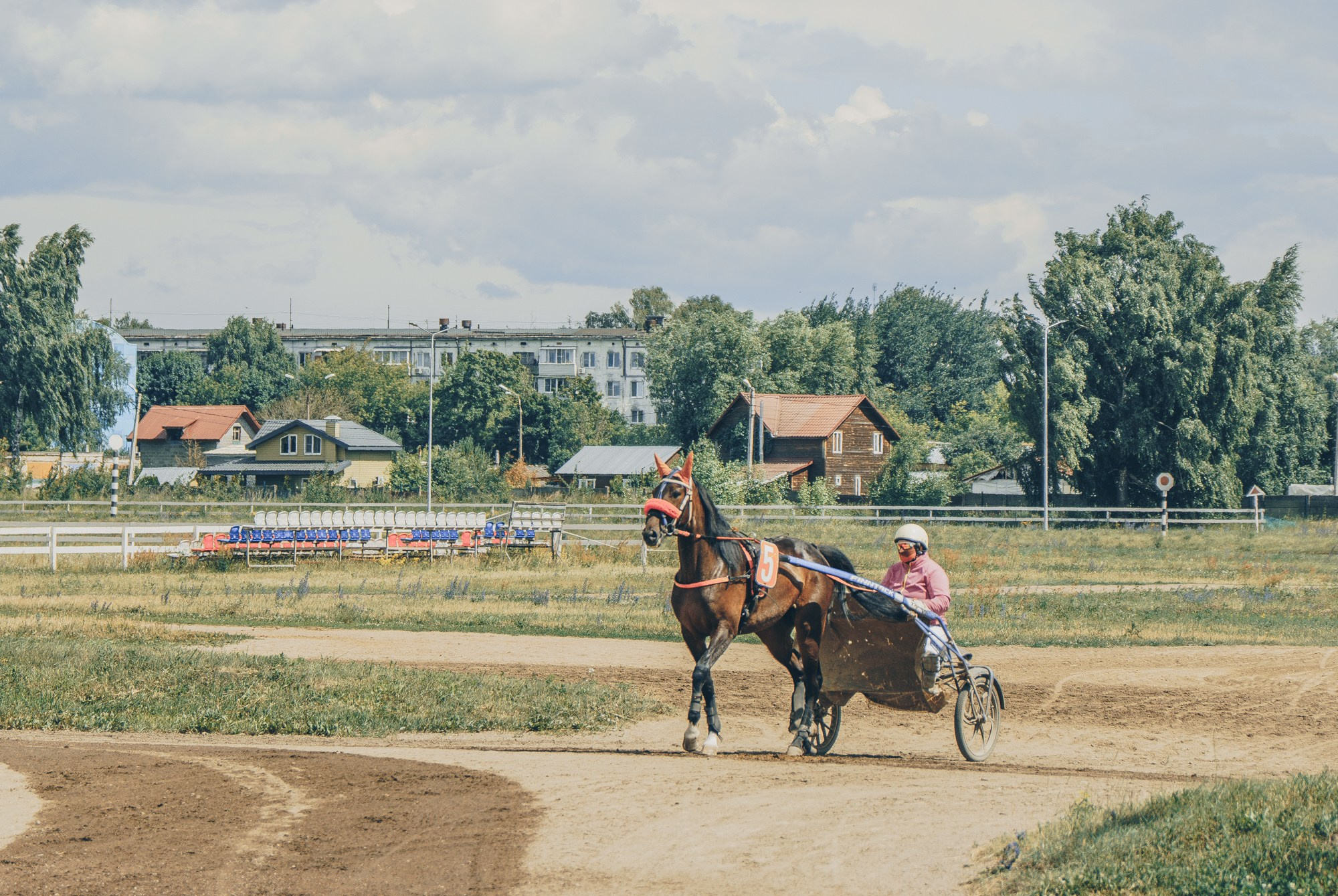 Раменский ипподром. Фотограф Яна Журавская Спб / Москва