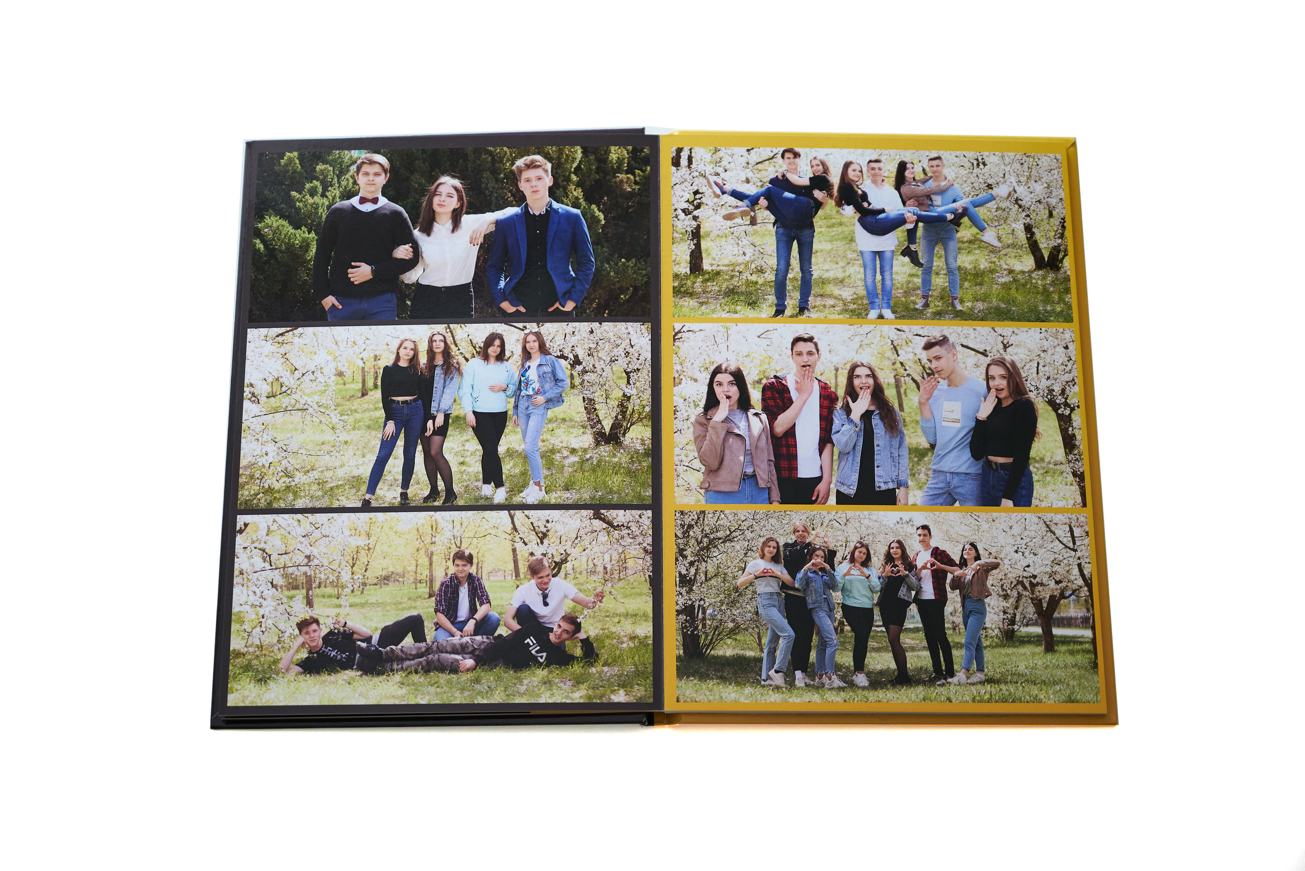 Живые — 9-11 класс