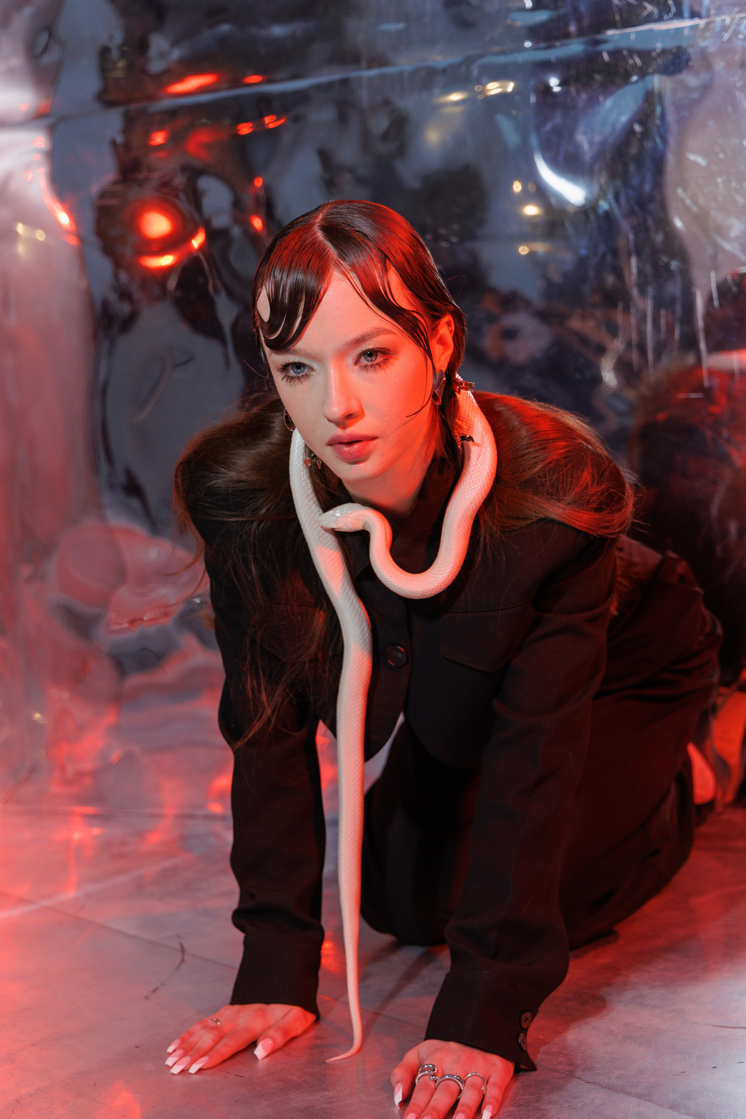 Рептилии. Марковкина КрисТина