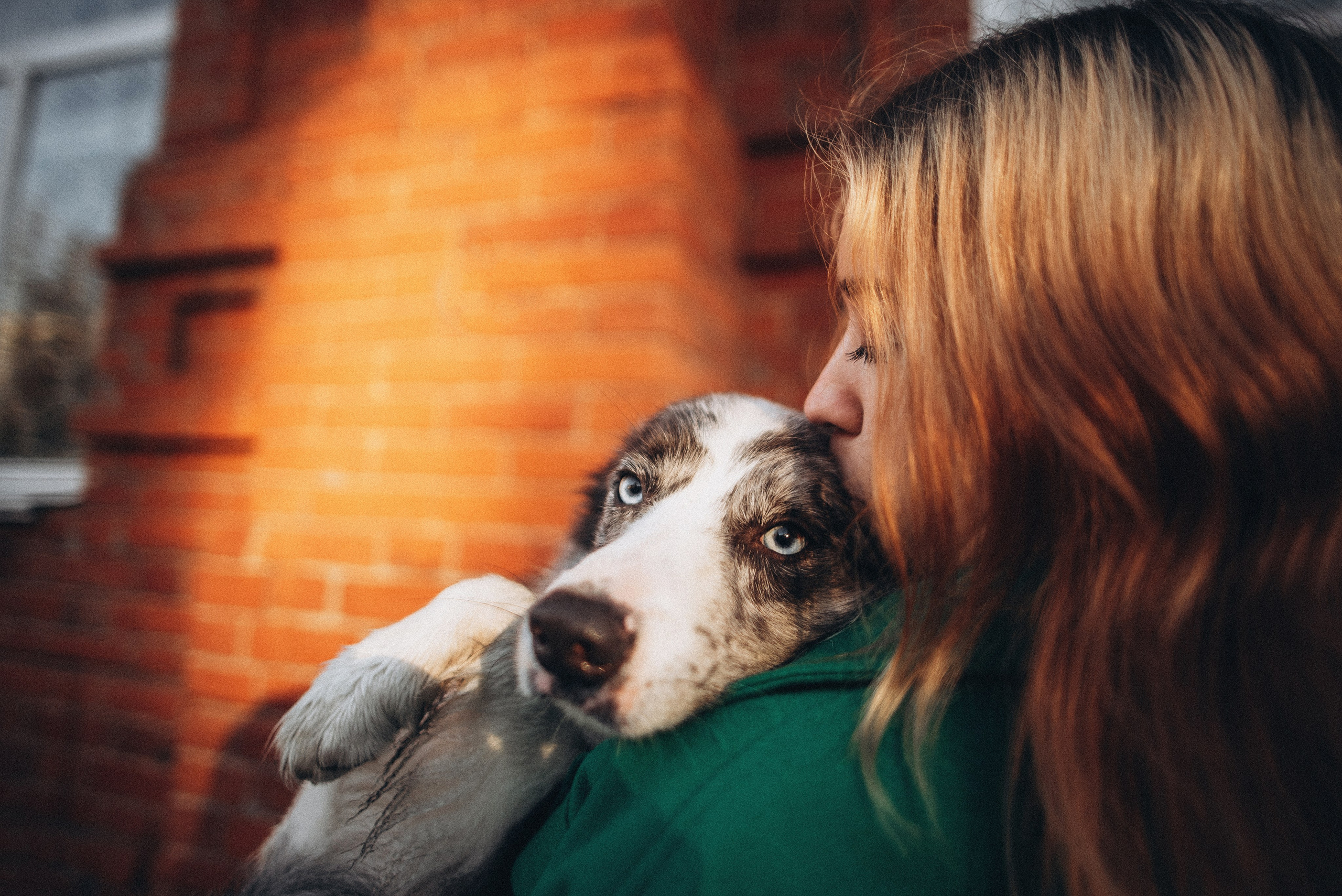Диана и Робин. Фотограф-анималист Богданова Полина