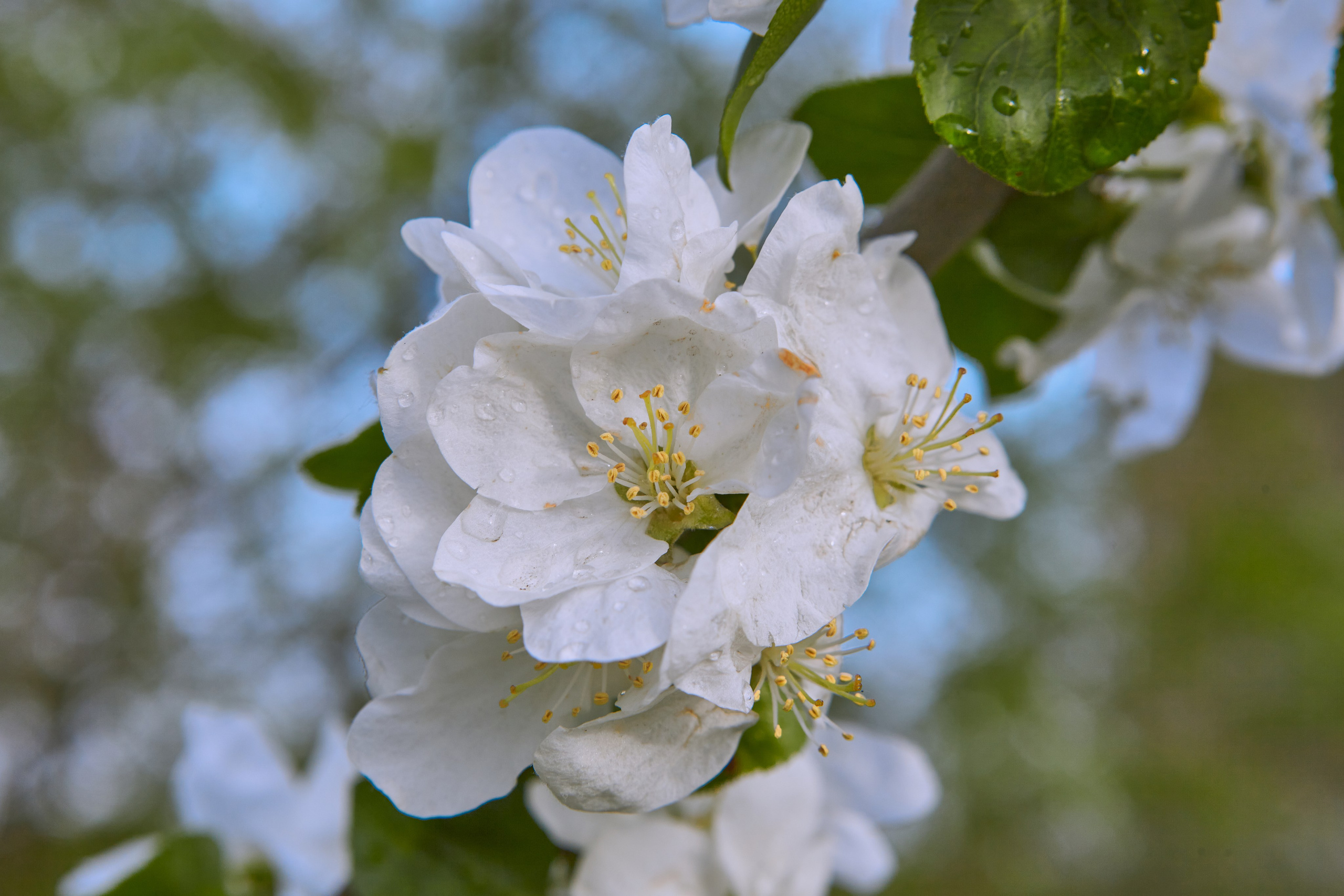 Фотографии природы