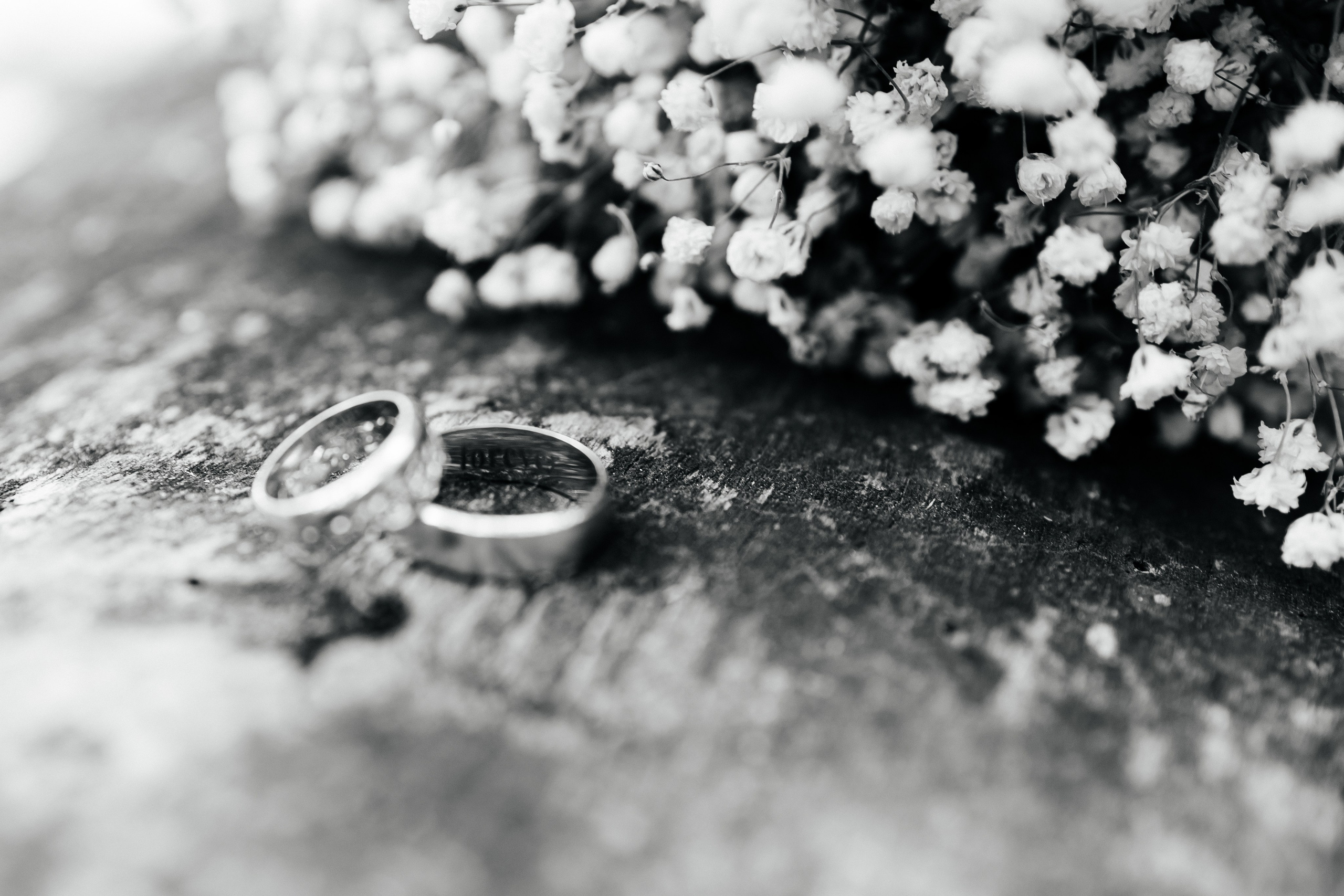 Алена и Вячеслав. Свадебный и семейный фотограф в Ростове-на-Дону