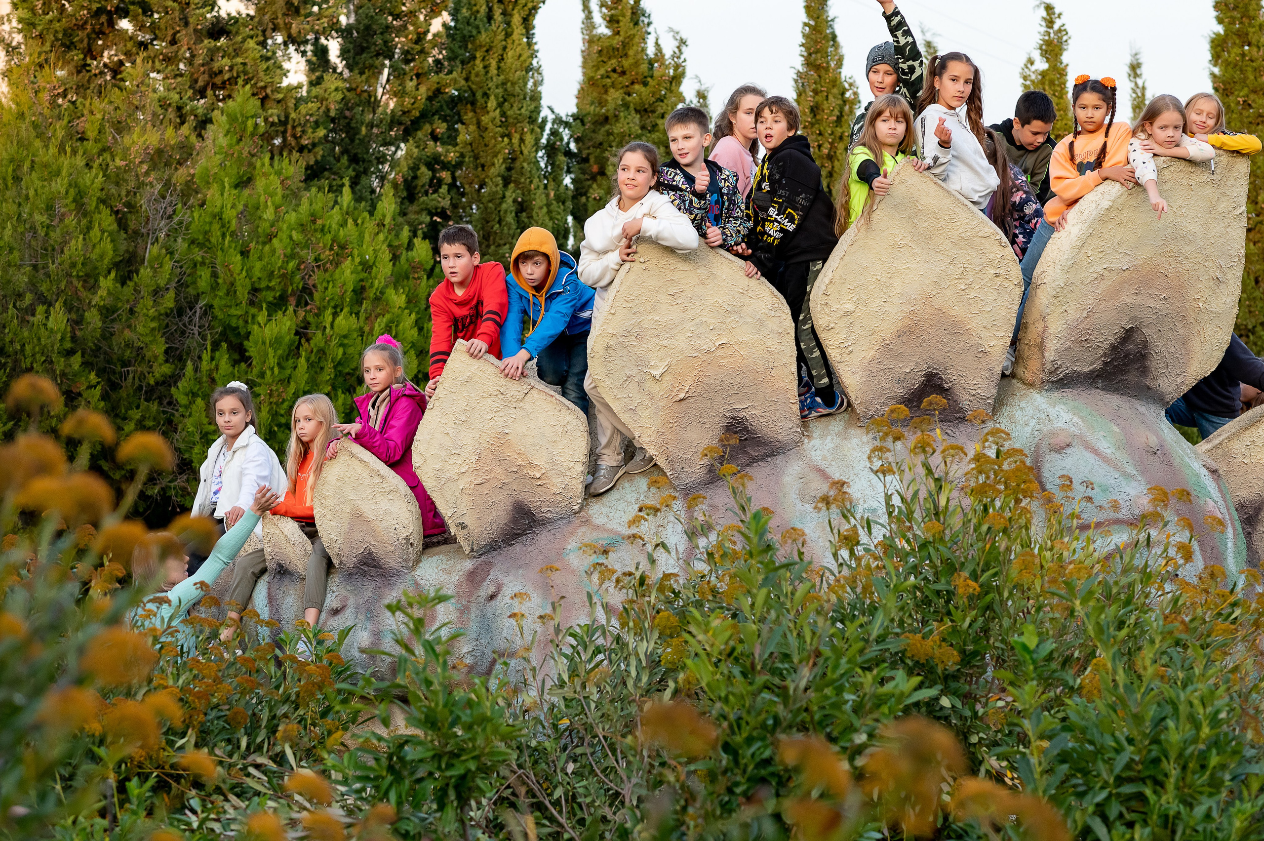 Групповые фото. SchoolTerritory