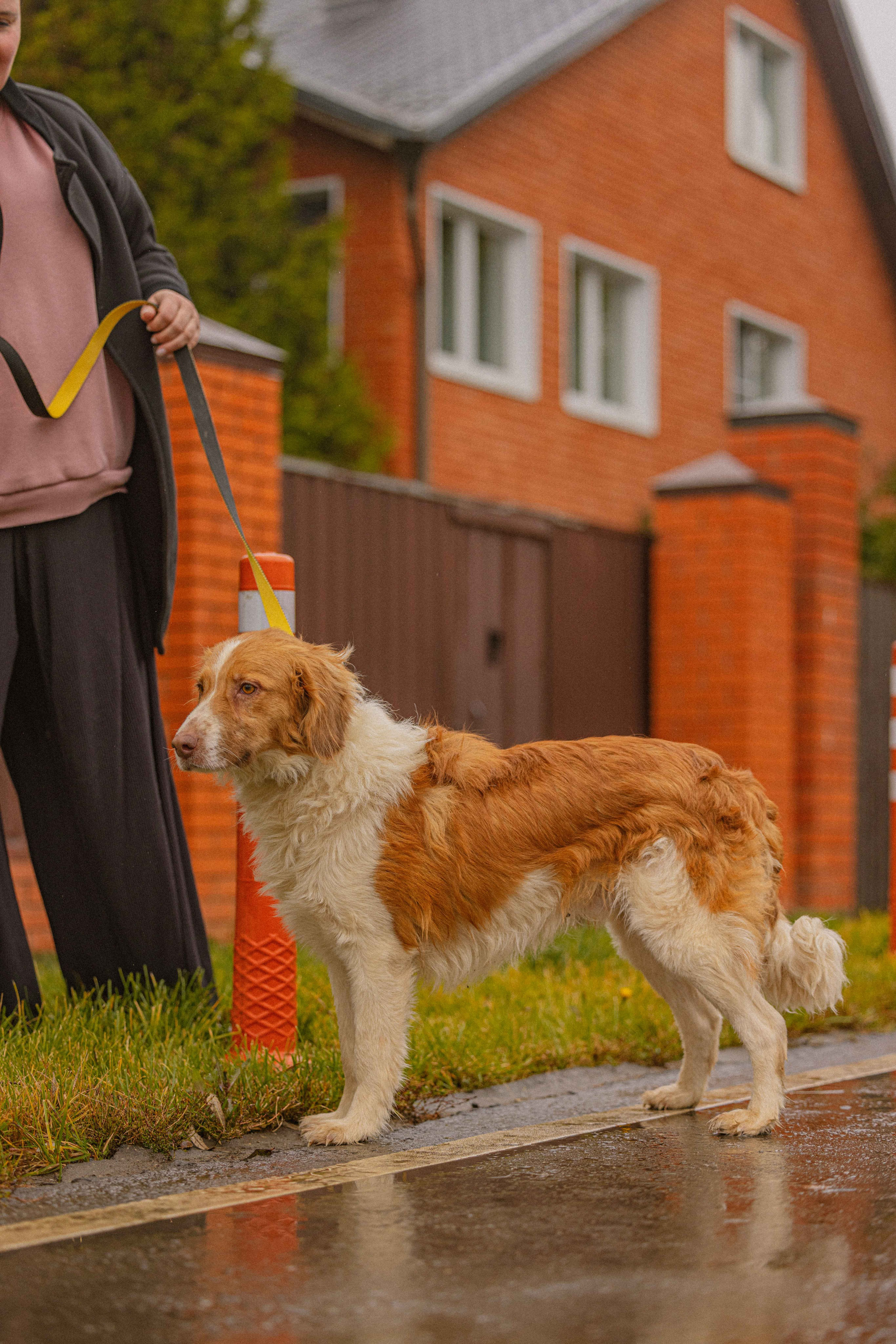 Передержка. Фотограф-анималист в Москве Лера Черноног