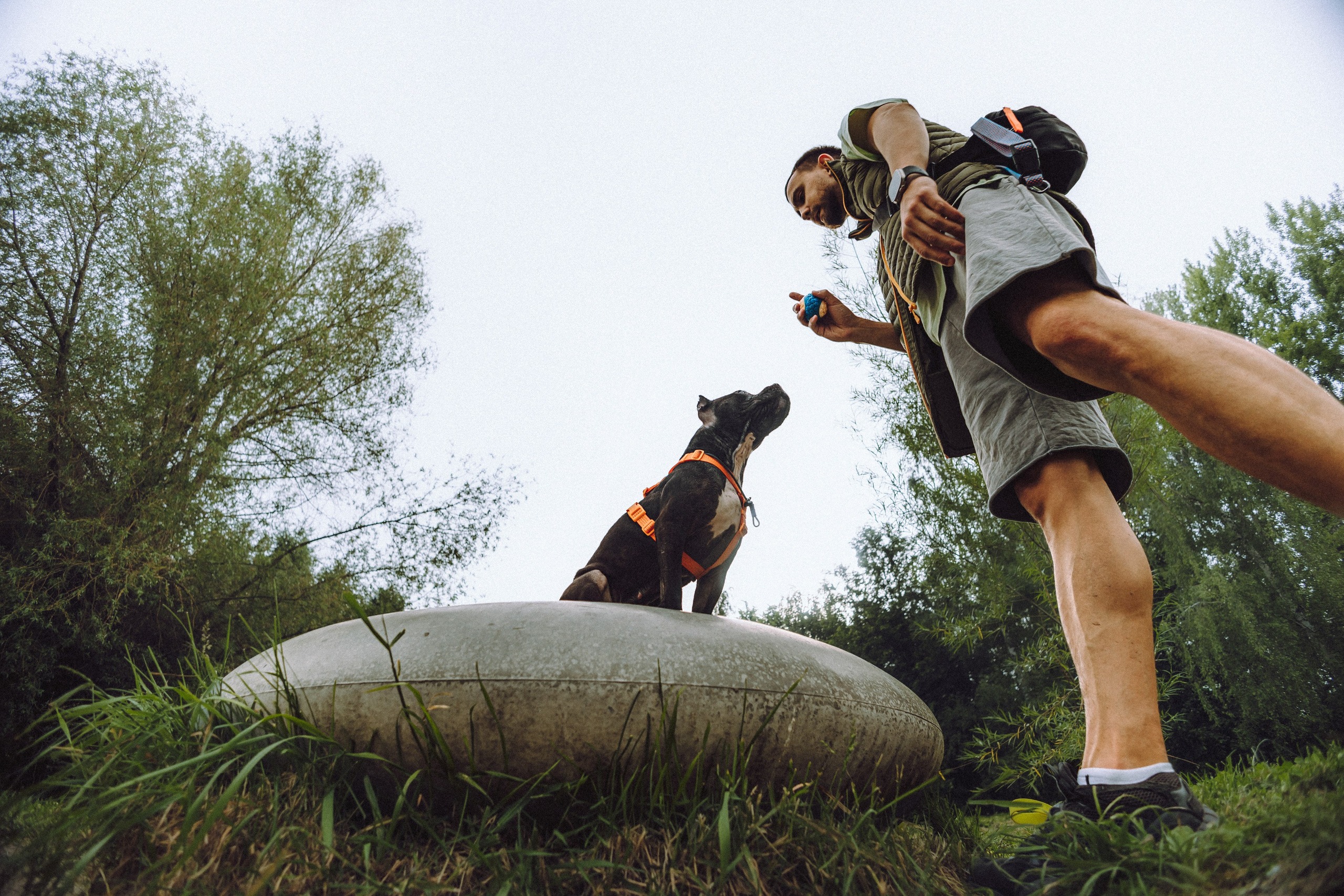 Паша, Хайди и Тея