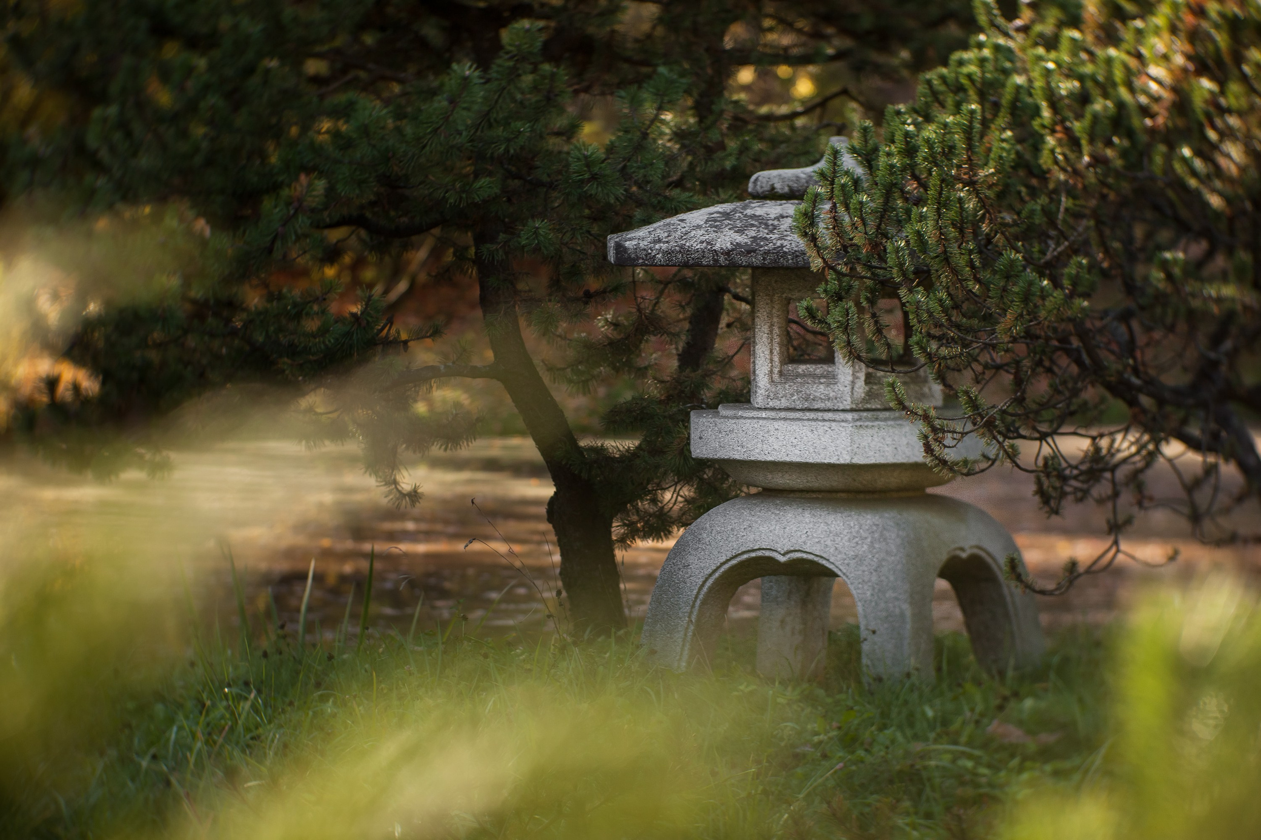 Ботанический сад имени Н. В. Цицина. Фотограф Виталий Туманов. Туманов Виталий — фотограф Москва