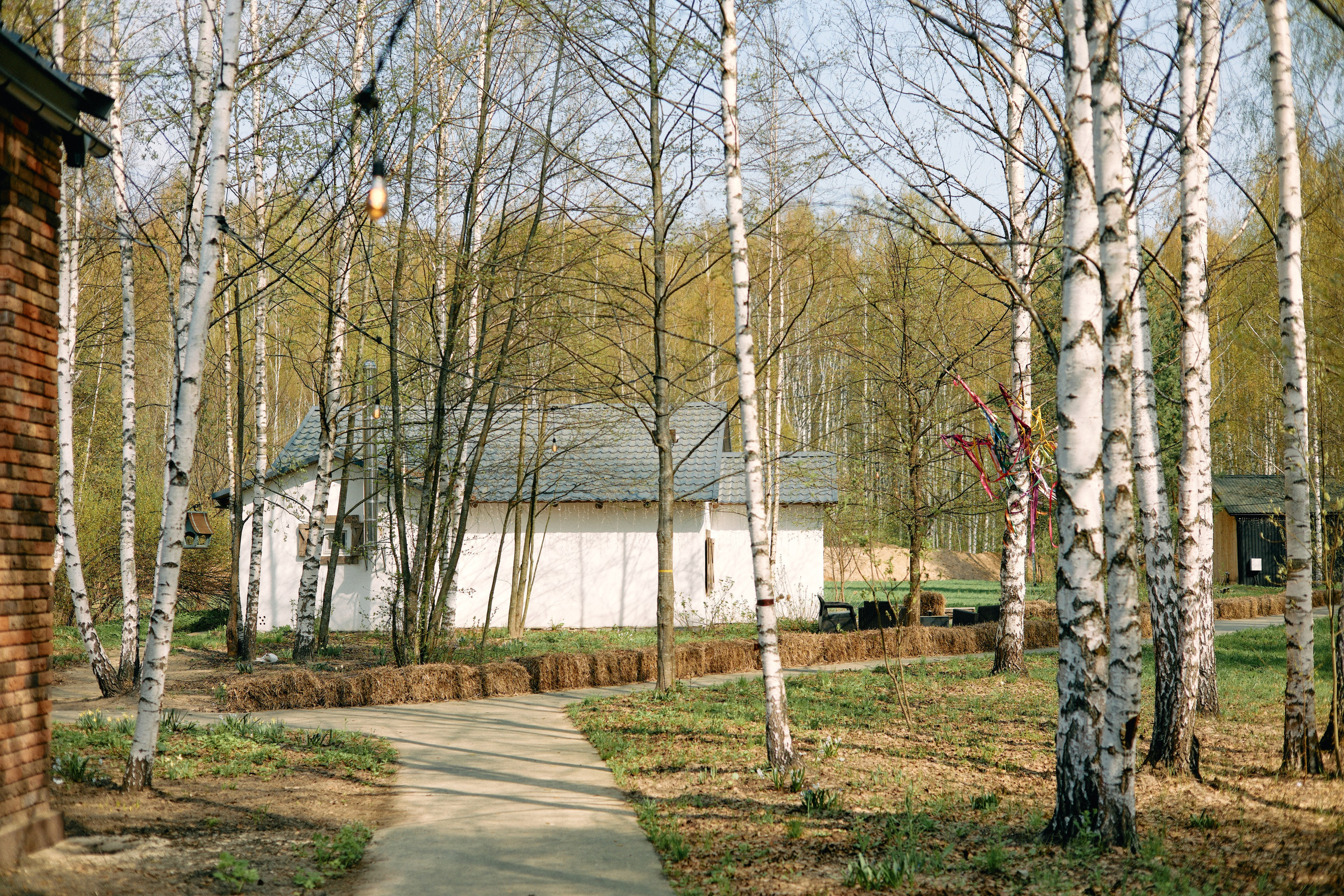 Бутик-отель Поле летом. Профессиональный Фотограф во Владимире, в Москве и в Суздале — Полина Романычева