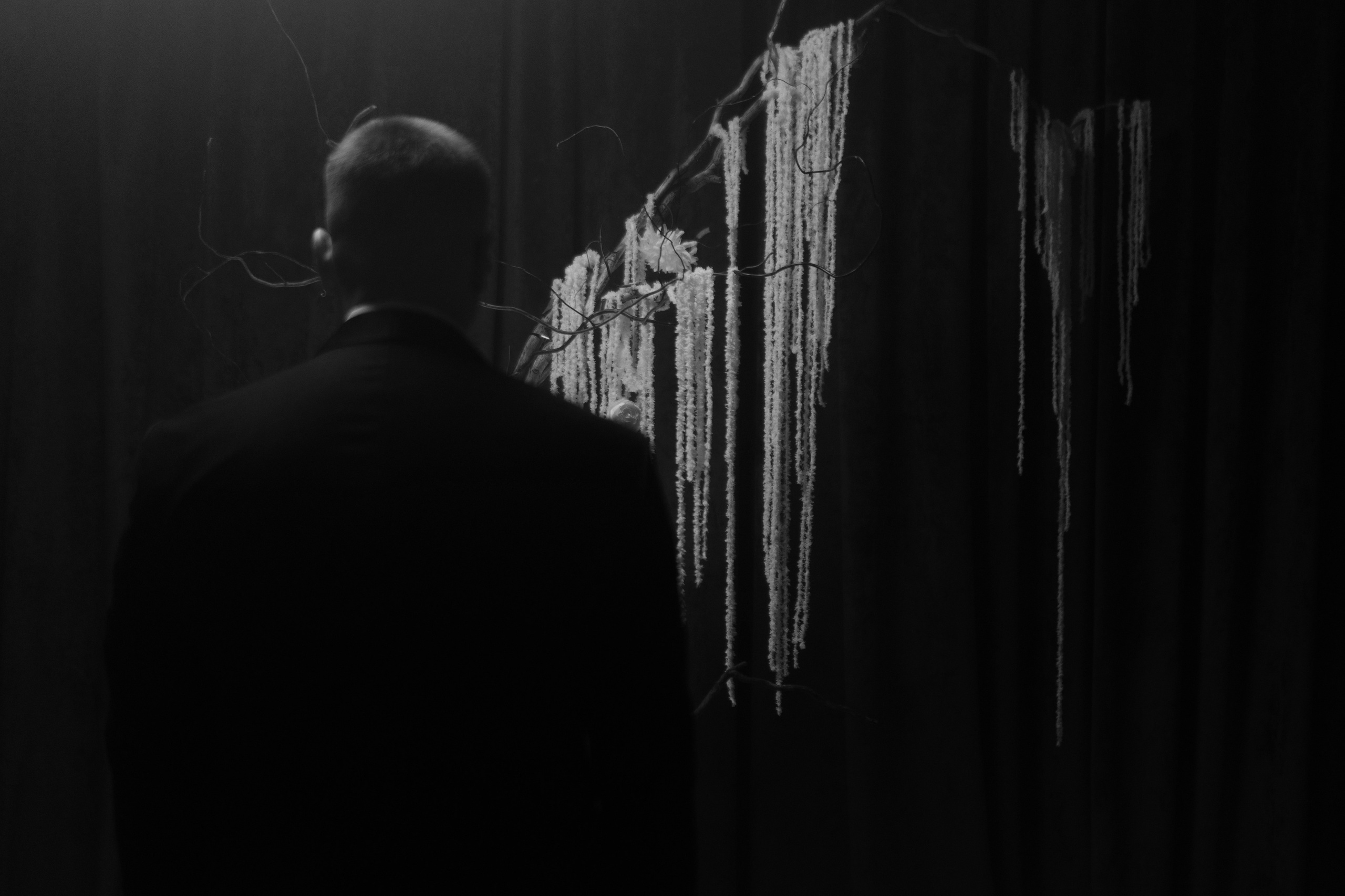 Александр и Елена. Свадебный фотограф в Барнауле Четошникова Анна