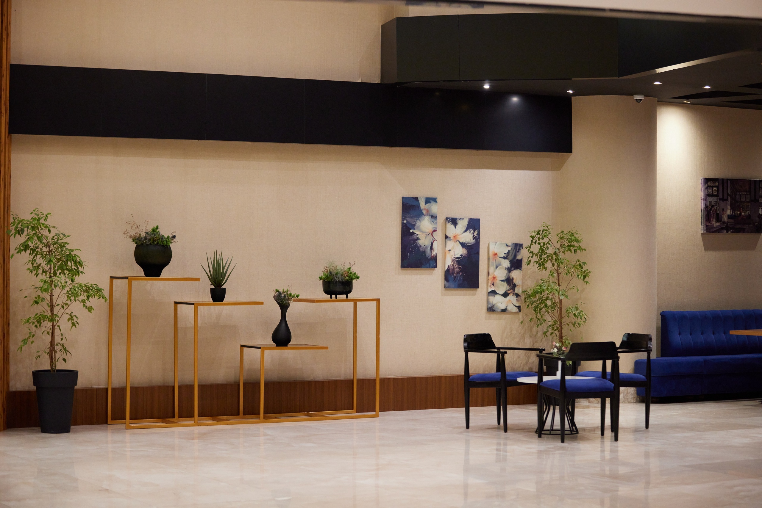 LEGEND BATUMI. Режиссёр, клипмейкер, фотограф — Андрей Охота