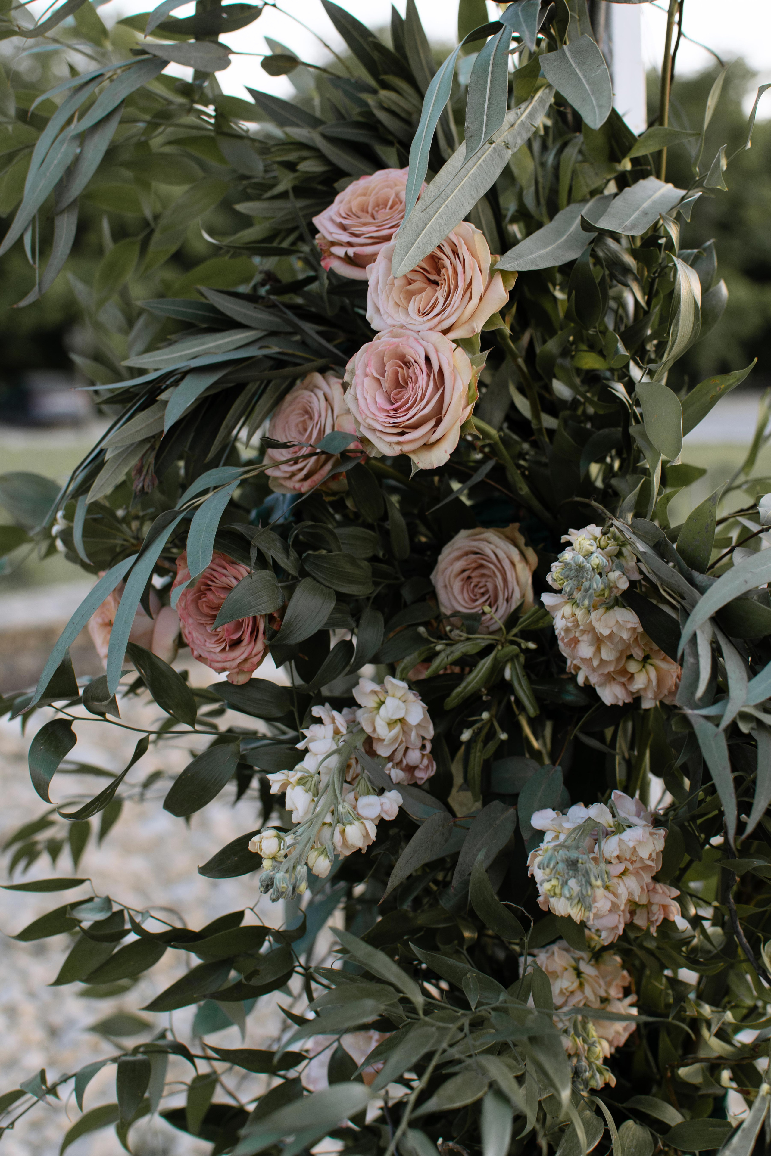 Свадьба в винограднике. Свадебный фотограф в Краснодаре и Санкт-Петербурге Евгения Алексеева