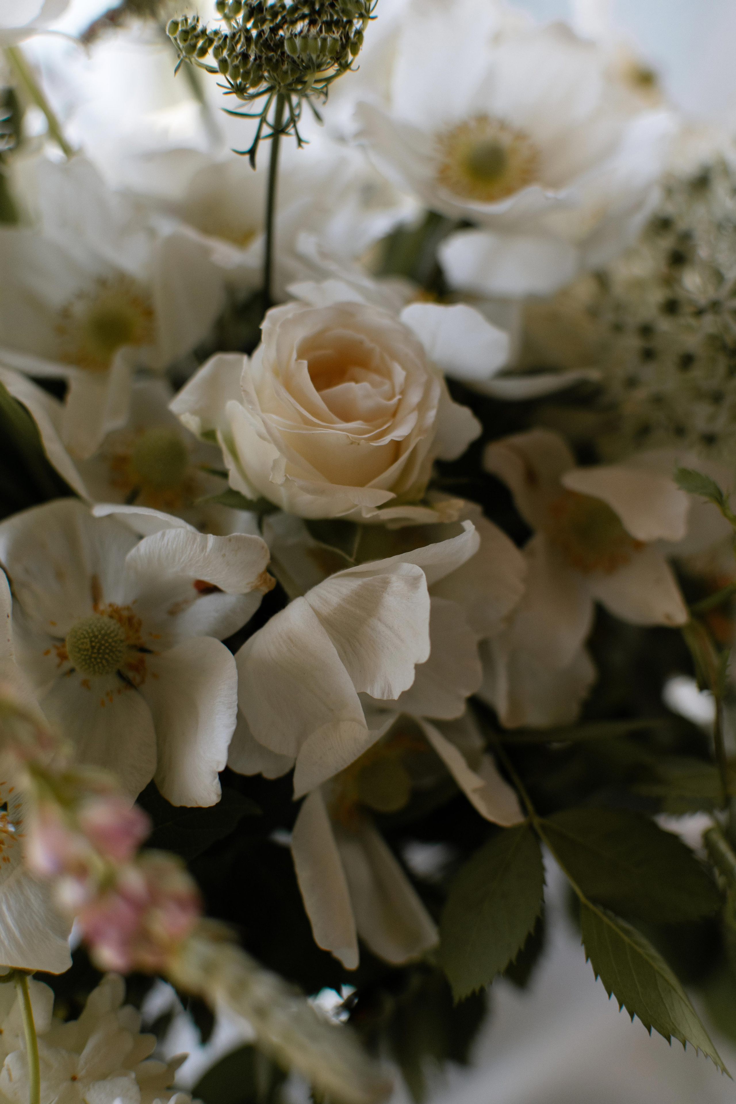 Свадьба в винограднике. Свадебный фотограф в Краснодаре и Санкт-Петербурге Евгения Алексеева