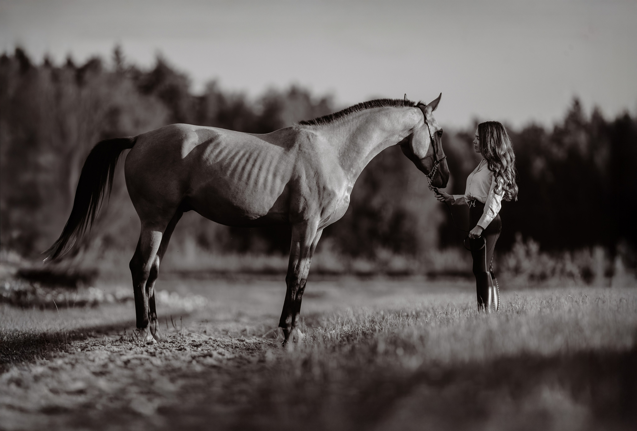 Лена и Персей. Фотограф-анималист Ксендзова Кристина