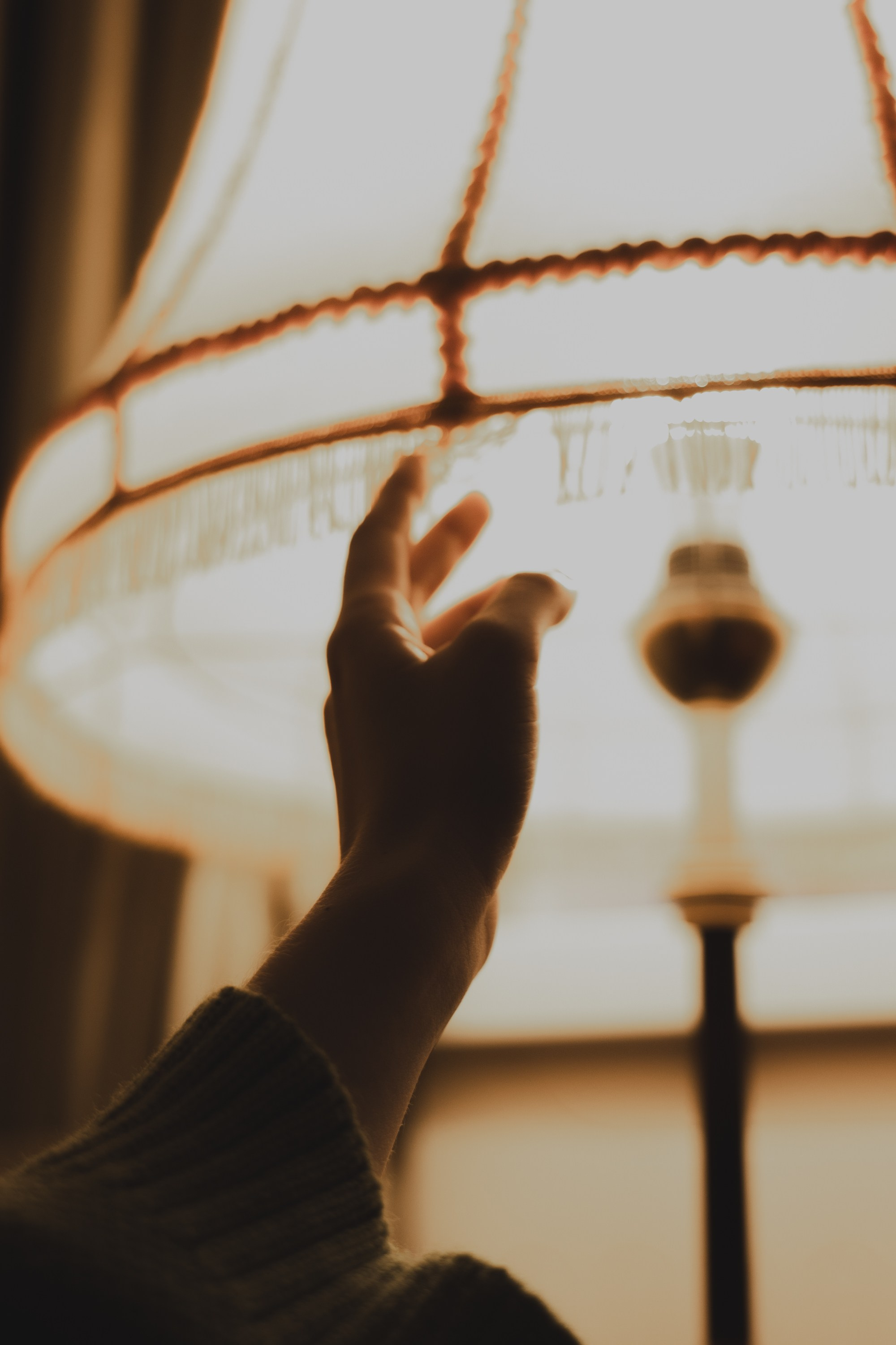 Булочка с вареньем. Фотограф Кощеева Дарья