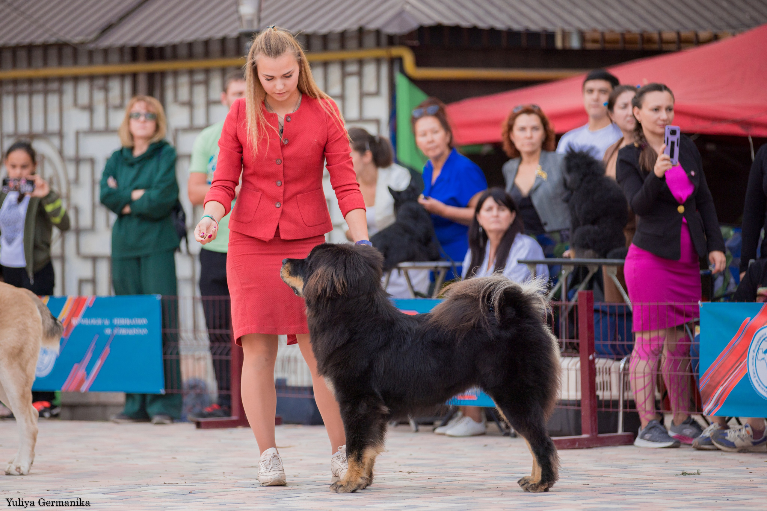 Ташкент 6-8.10.2023 + Алматы 14-15.10.2023. Фотограф-анималист Юлия Германика