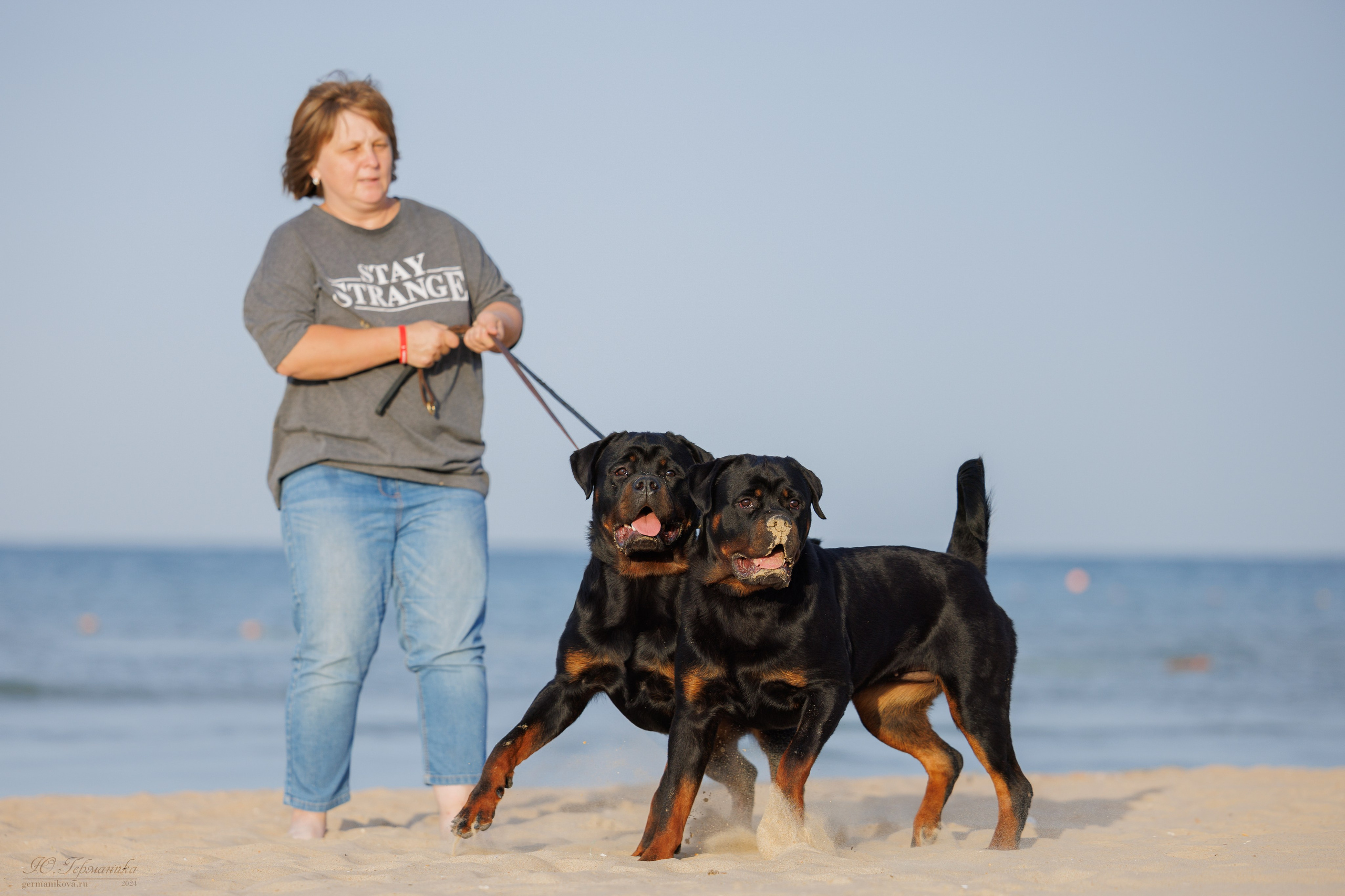 Свободная съемка. Фотограф-анималист Юлия Германика