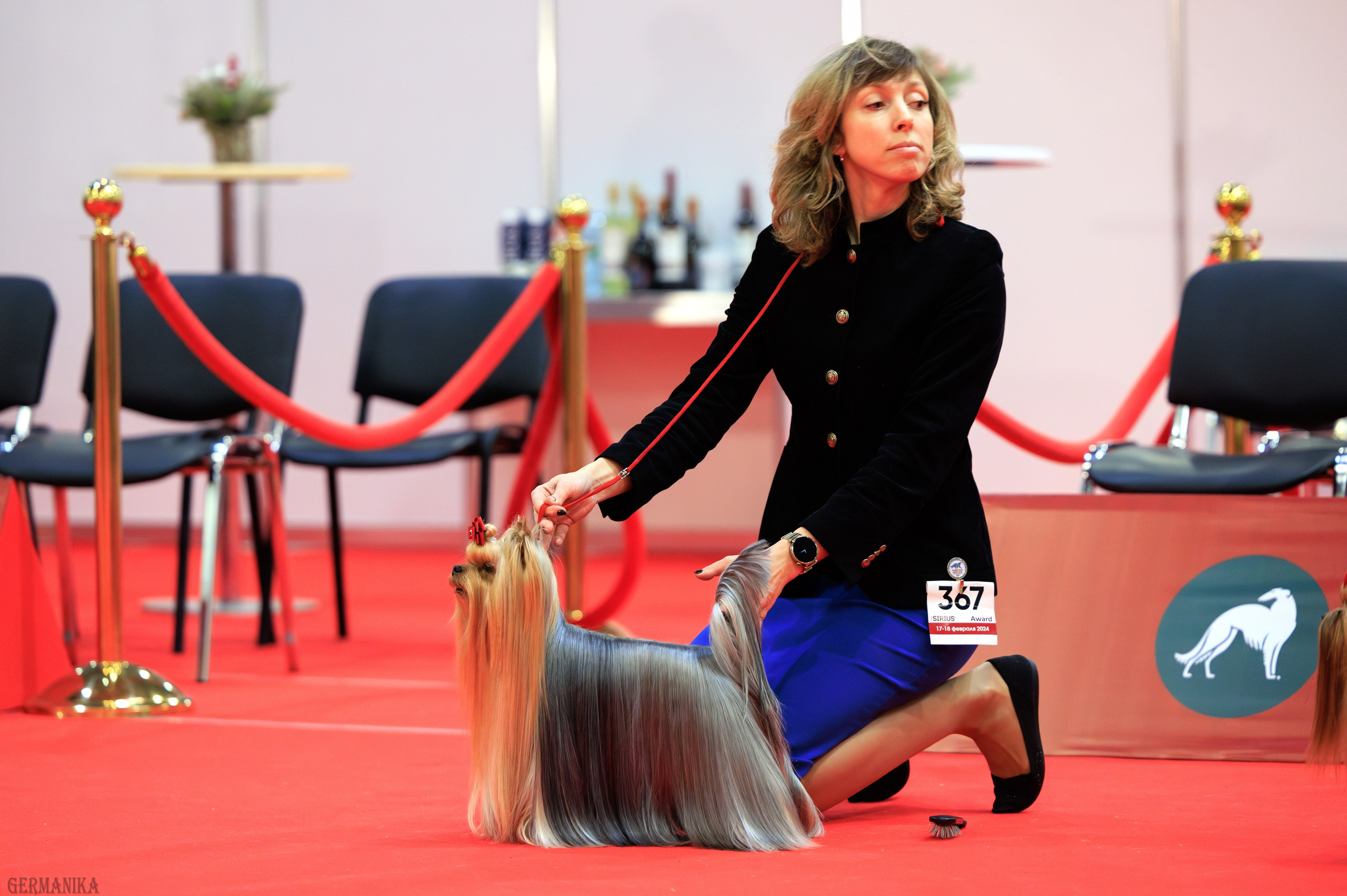 Лучшие Собаки России 17-18.02.2024. Фотограф-анималист Юлия Германика