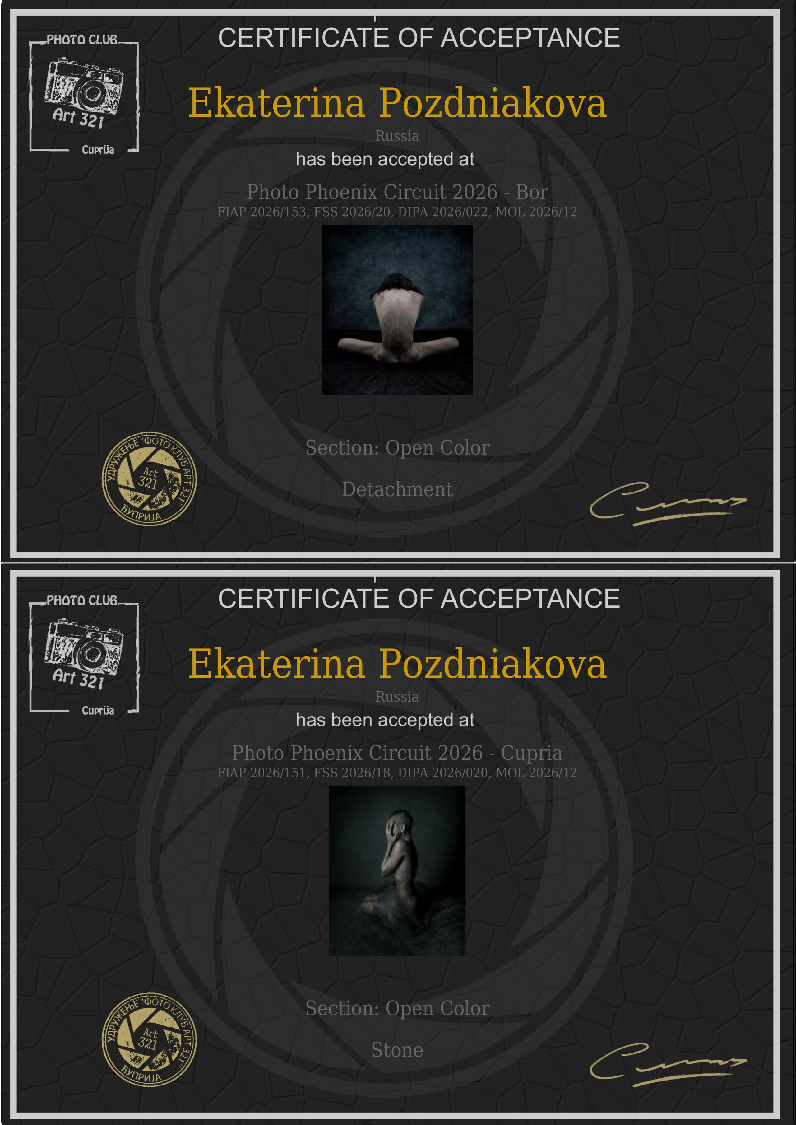 Photo Phoenix Circuit 2026 FIAP. Art Рhotographer Russia/Moscow